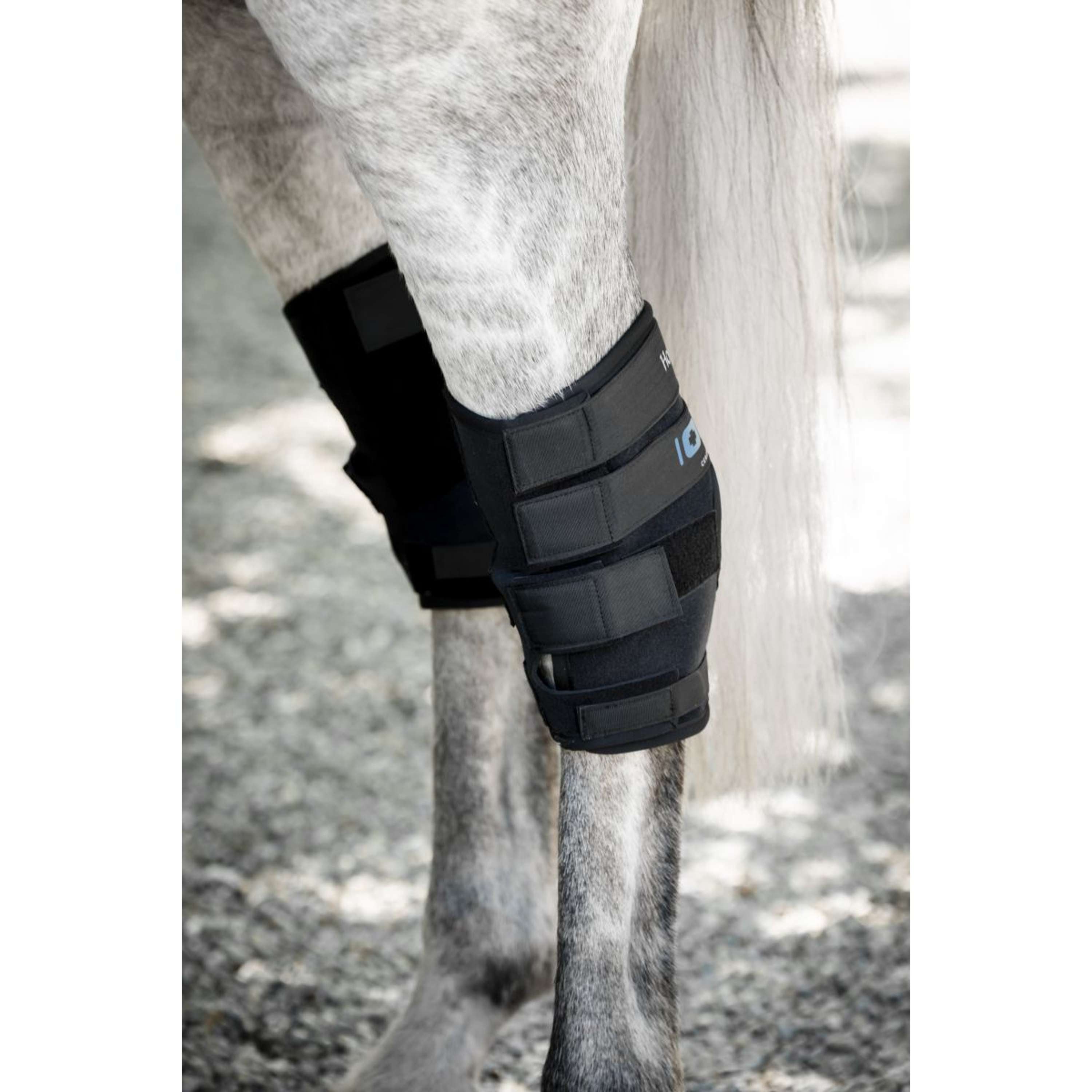 Horseware Hock Boots Ionic Set of 2 Black