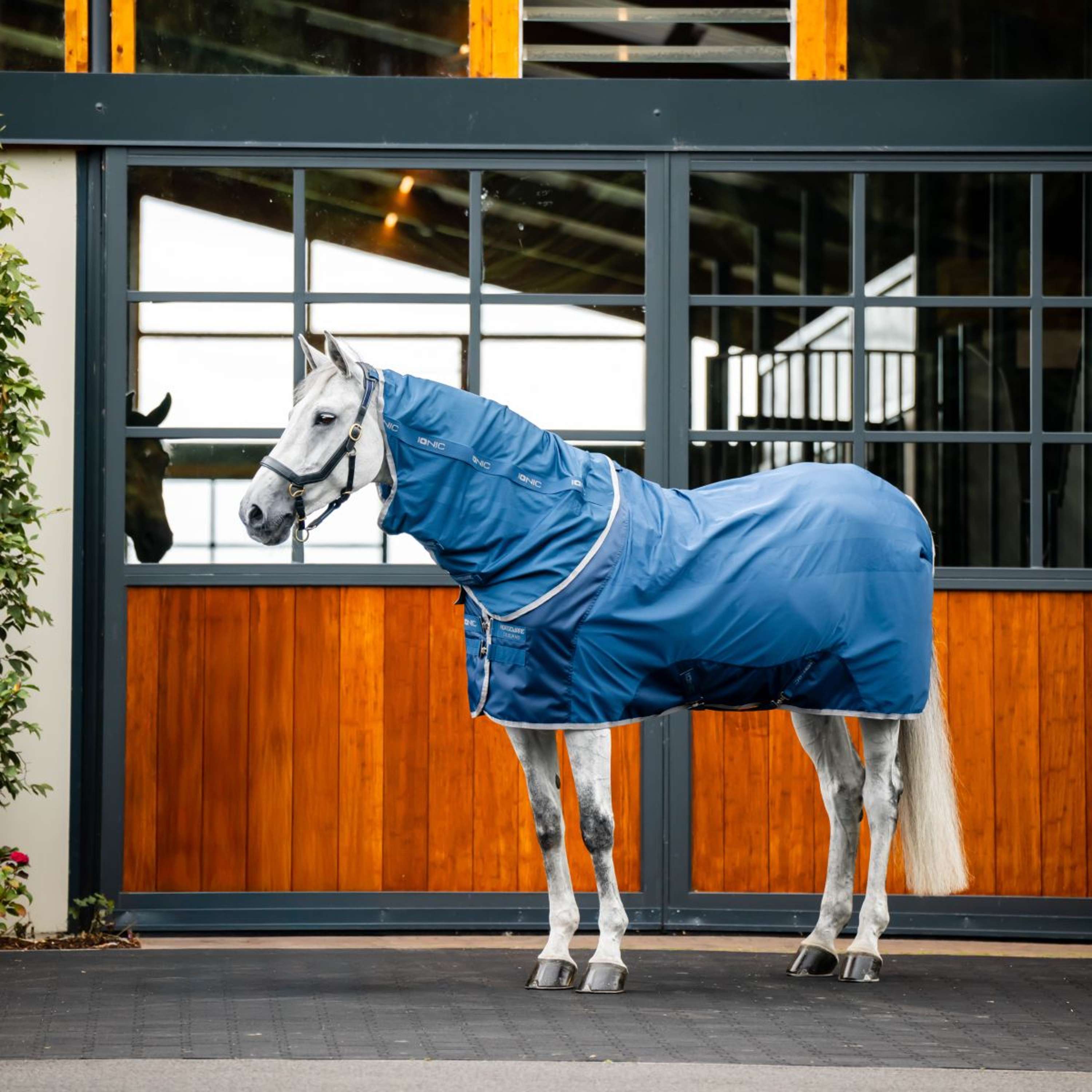 Horseware Neck Cover Therapy Mesh Cooler Imperial Blue/Silver/Navy