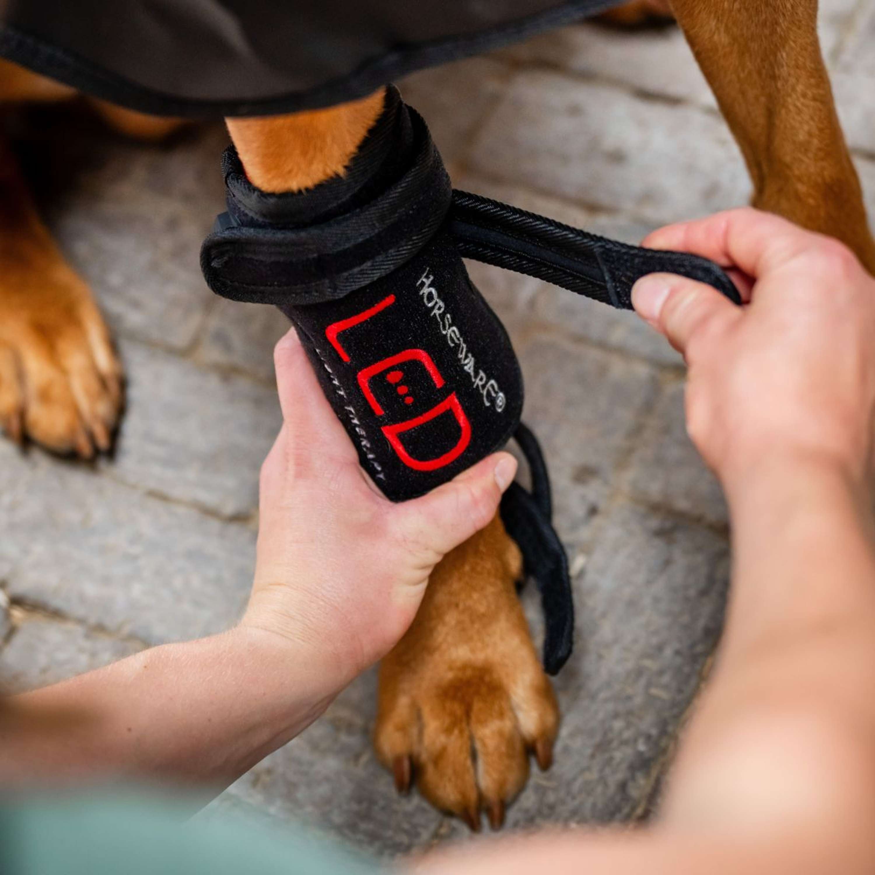 Horseware Pet Leg Wraps LED Red Light Therapy Pair Black/Black