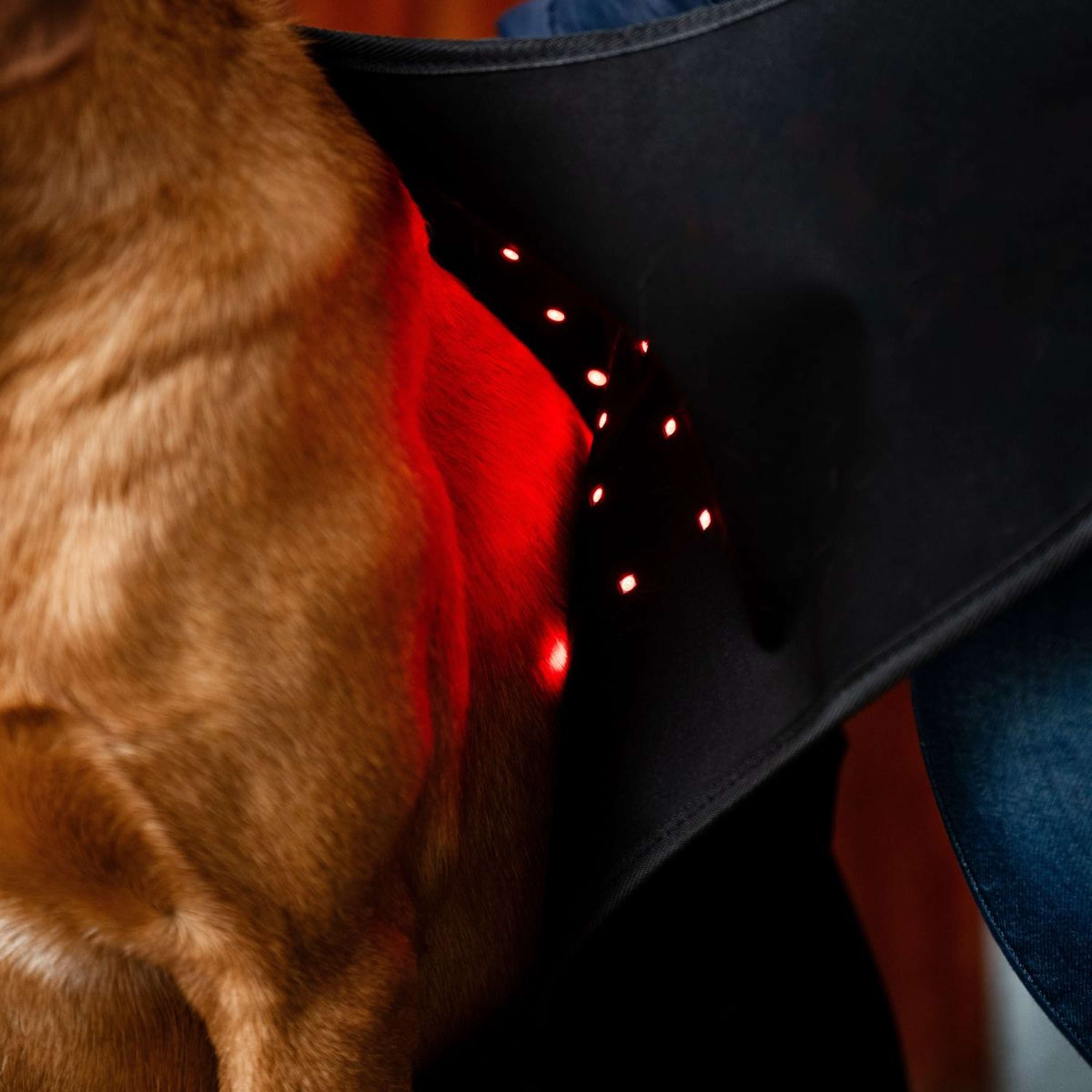 Horseware Pet Leg Wraps LED Red Light Therapy Pair Black/Black
