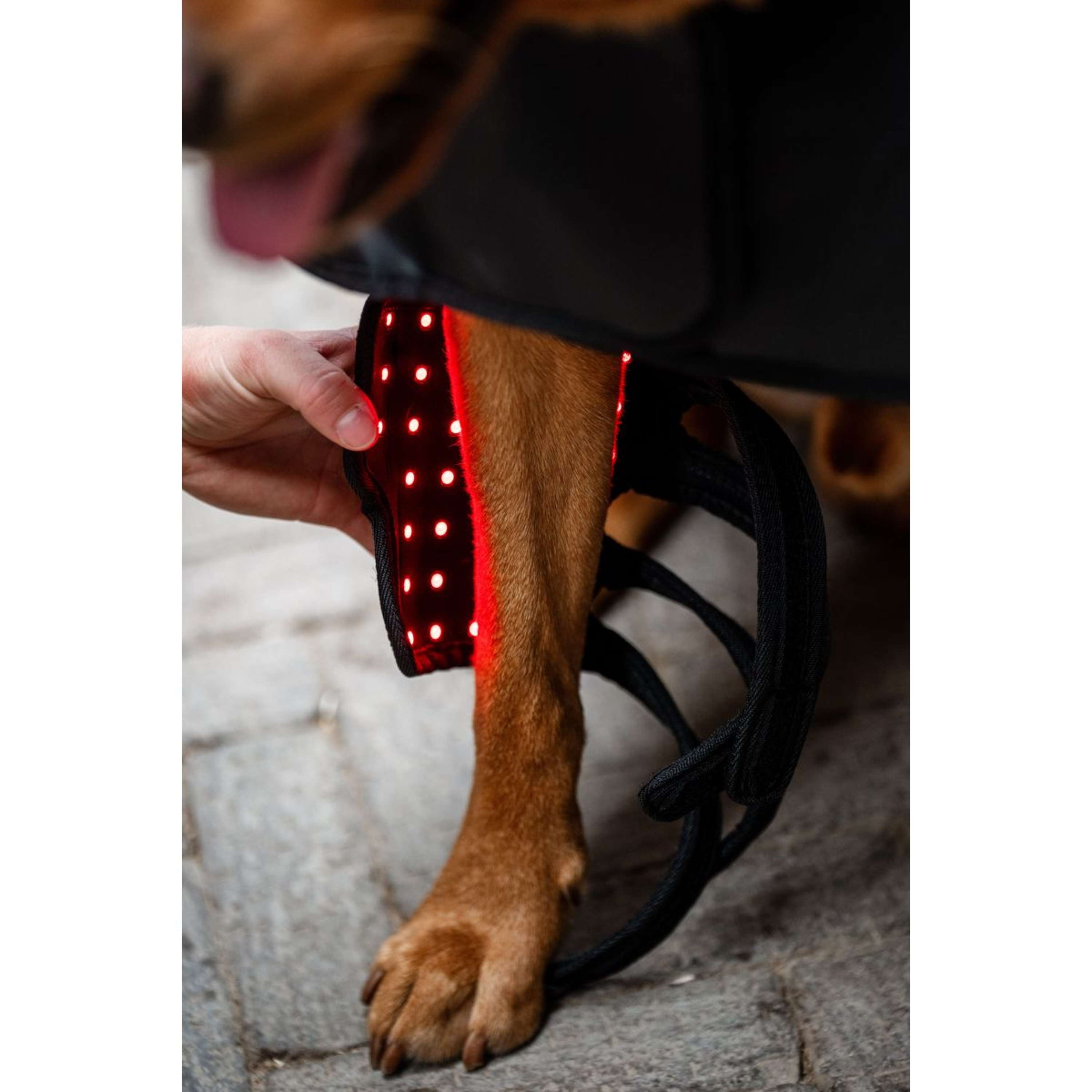 Horseware Pet Leg Wraps LED Red Light Therapy Pair Black/Black