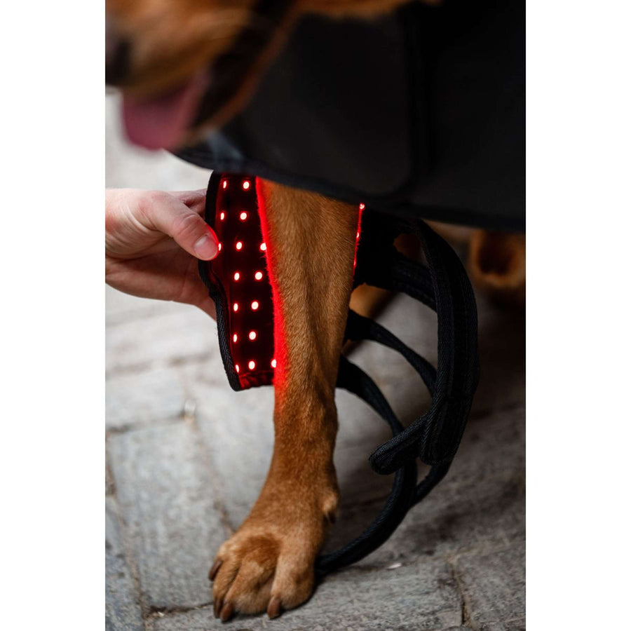 Horseware Pet Leg Wraps LED Red Light Therapy Pair Black/Black