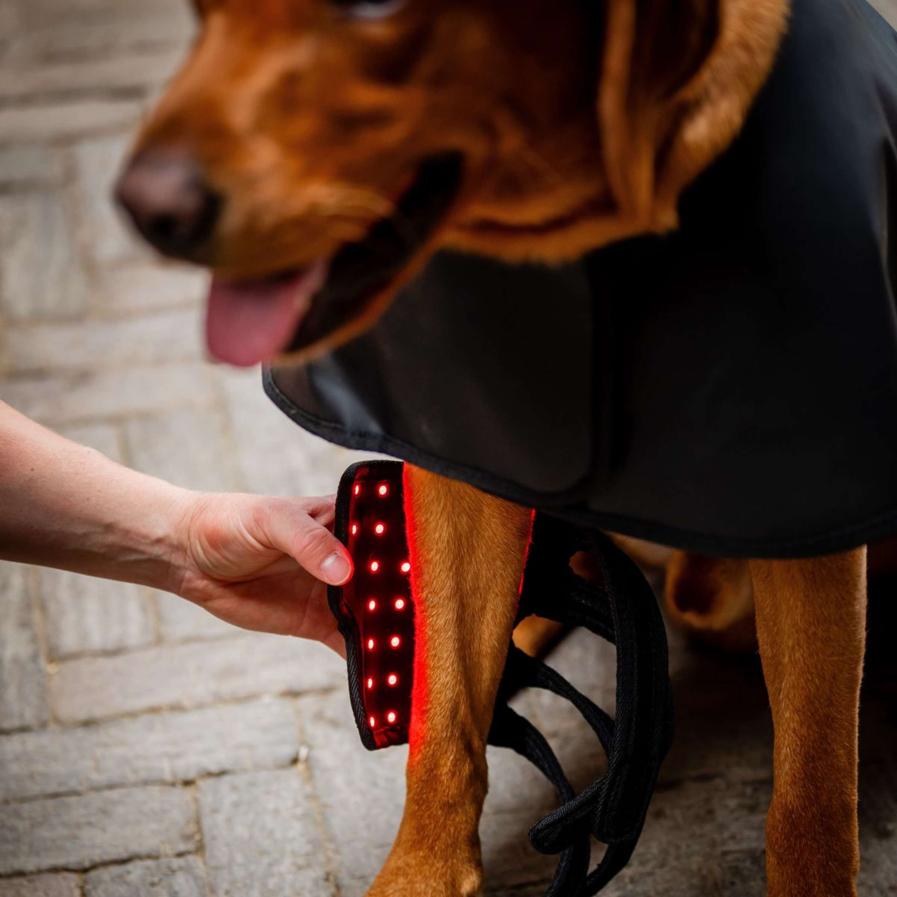Horseware Pet Leg Wraps LED Red Light Therapy Pair Black/Black