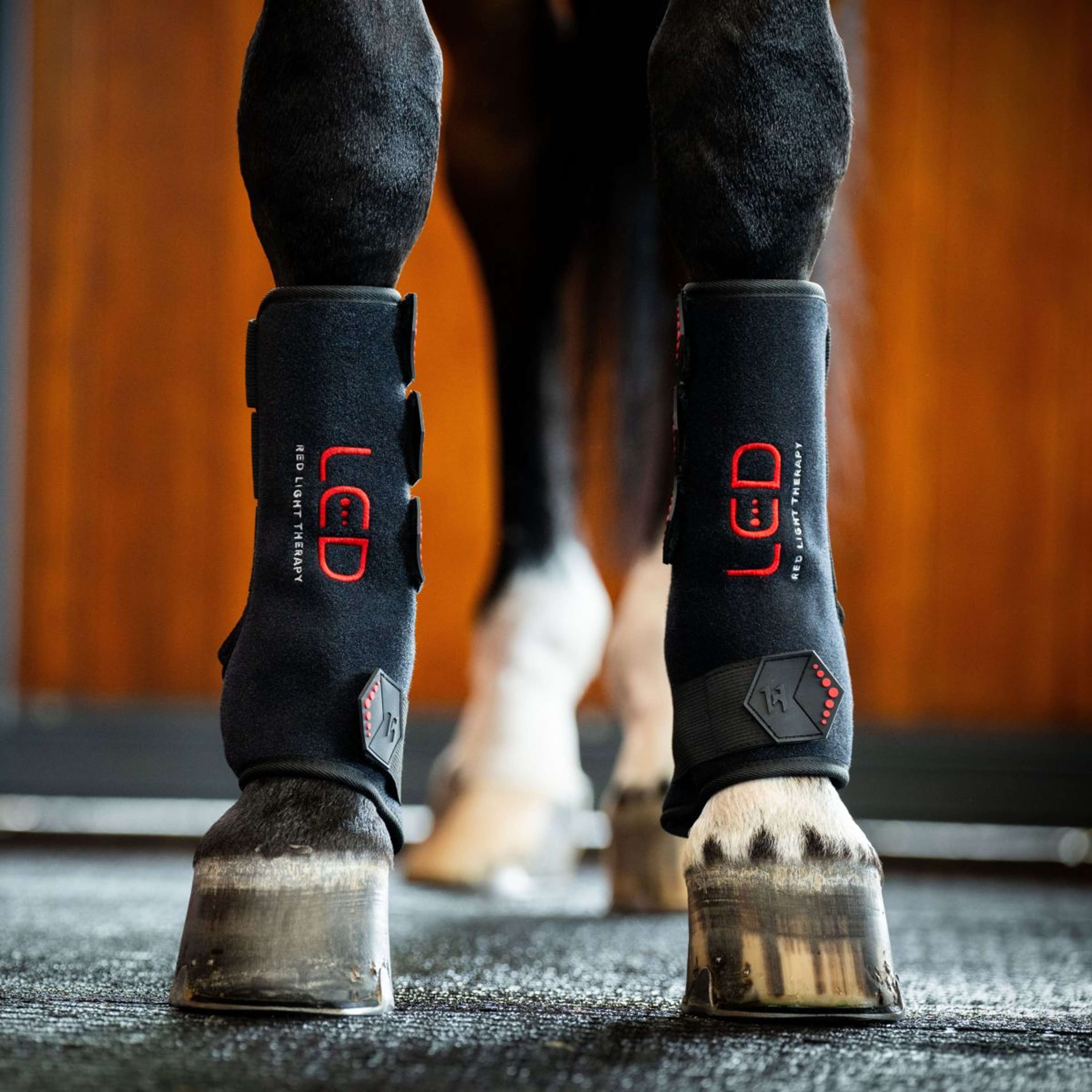 Horseware Leg Wraps LED Red Light Therapy Pair Black/Black