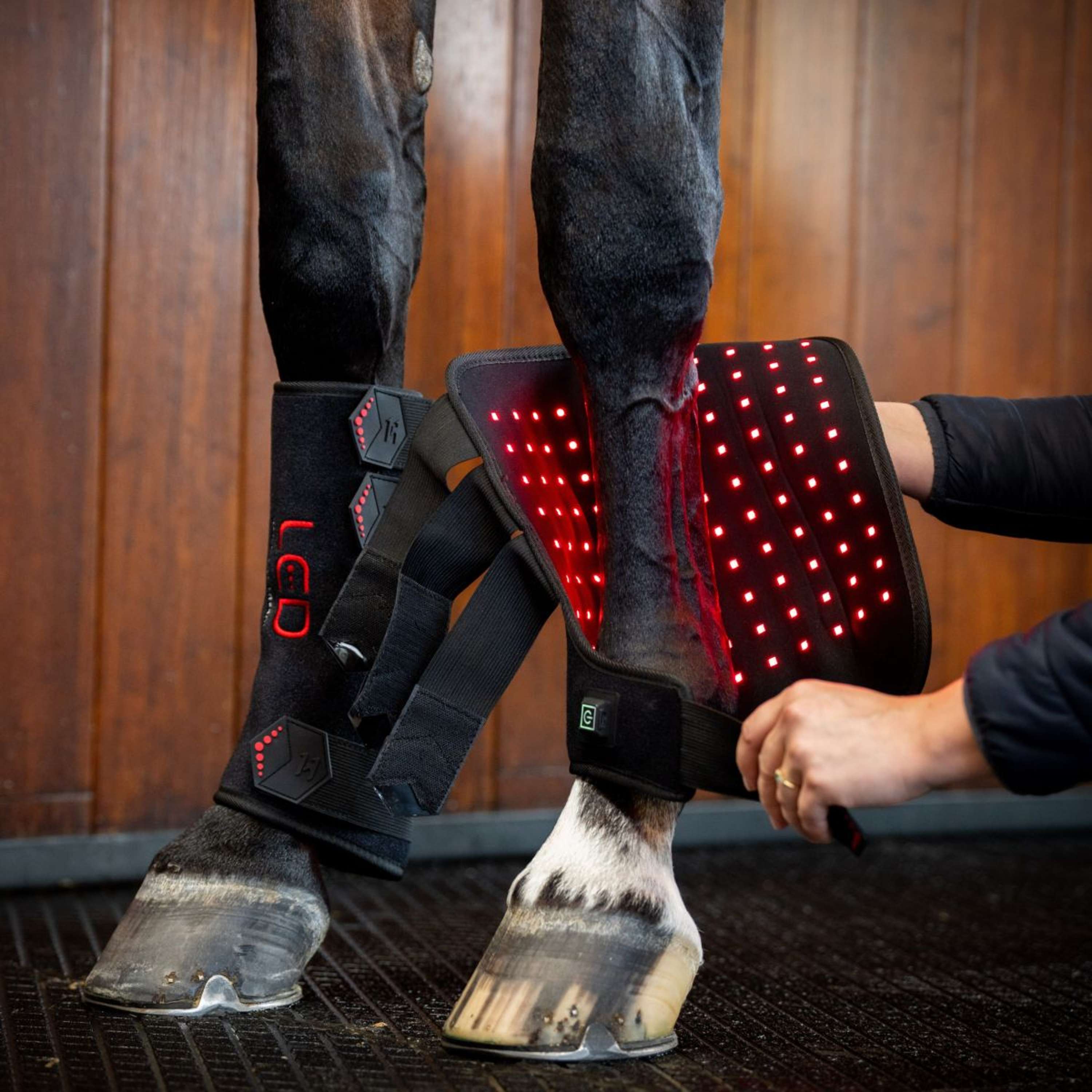 Horseware Leg Wraps LED Red Light Therapy Pair Black/Black
