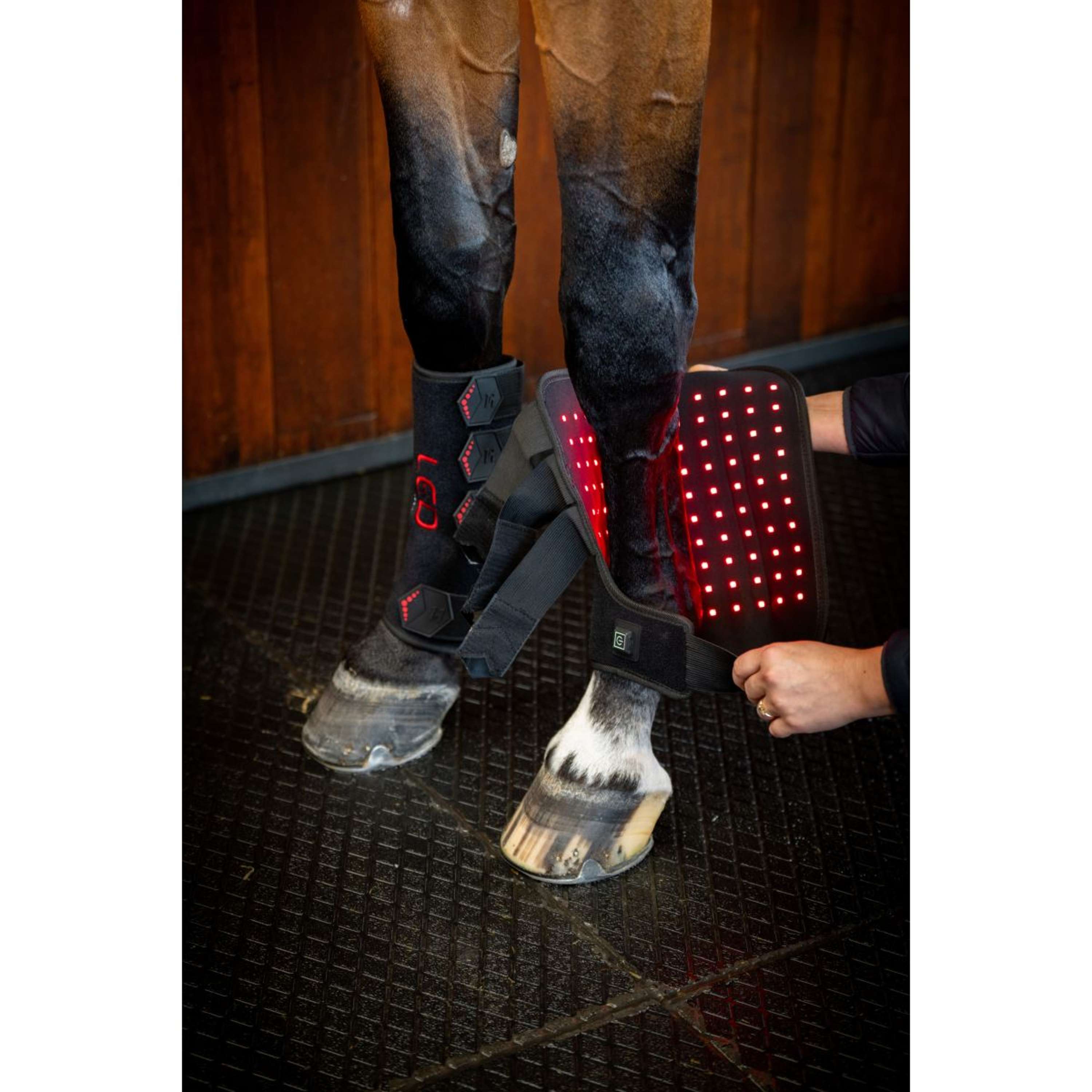 Horseware Leg Wraps LED Red Light Therapy Pair Black/Black