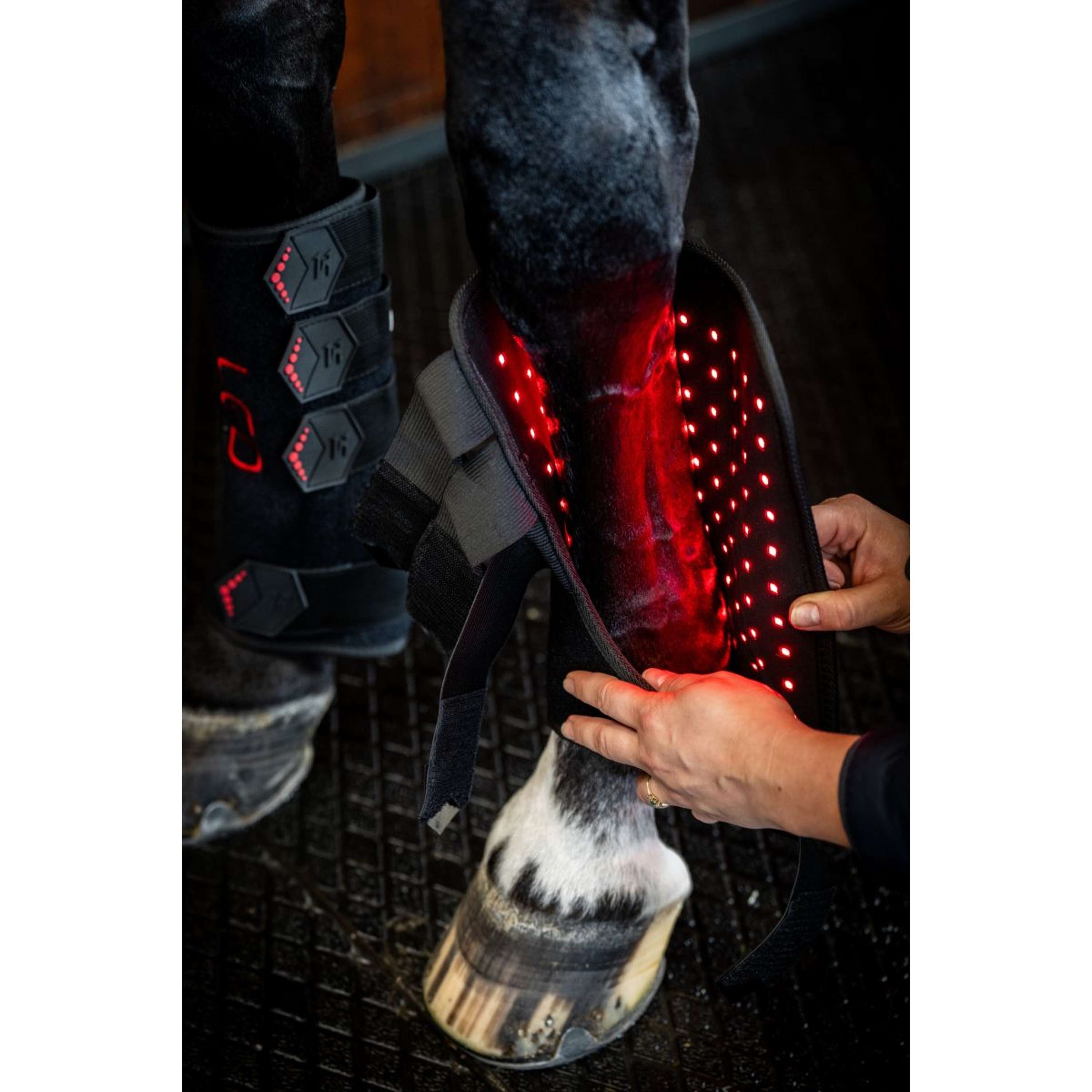 Horseware Leg Wraps LED Red Light Therapy Pair Black/Black