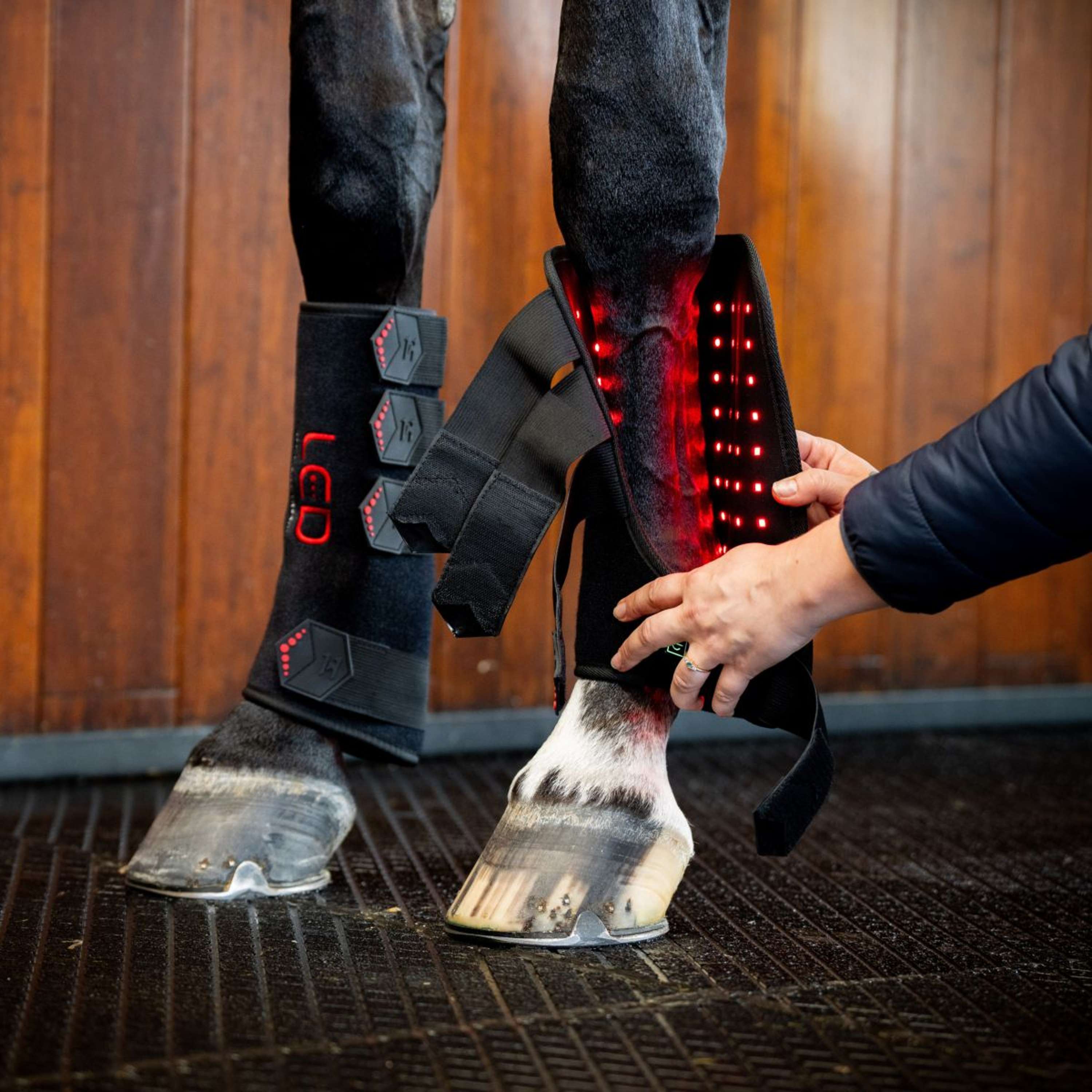 Horseware Leg Wraps LED Red Light Therapy Pair Black/Black