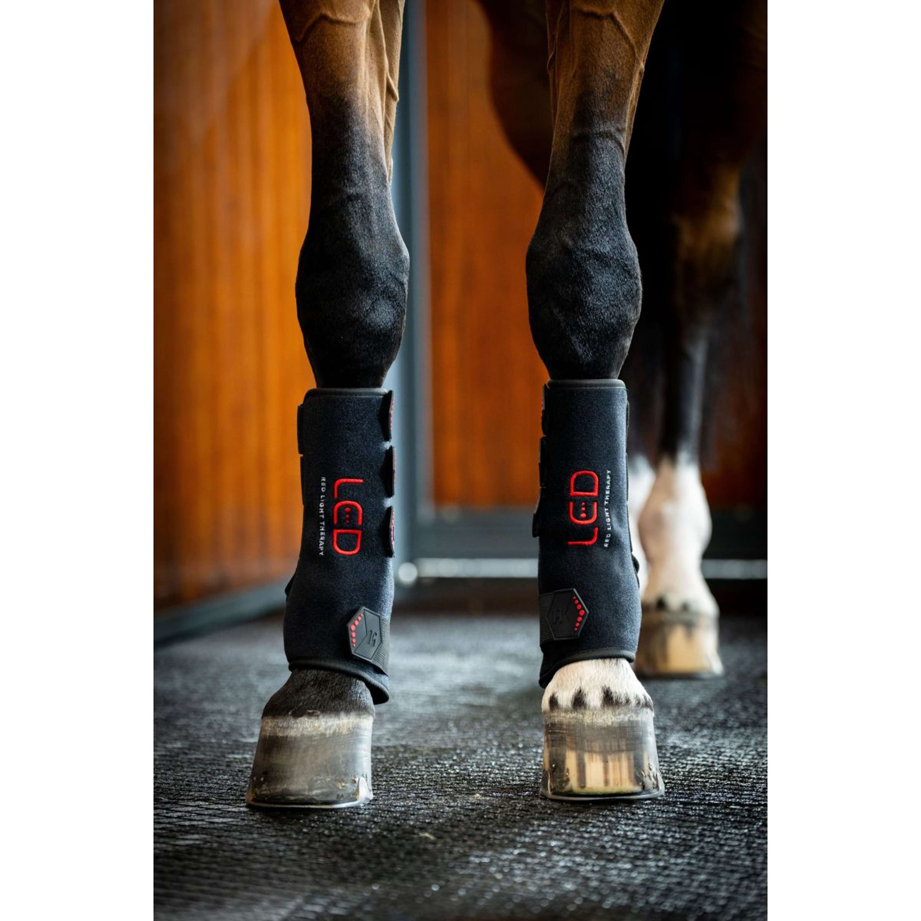 Horseware Leg Wraps LED Red Light Therapy Pair Black/Black