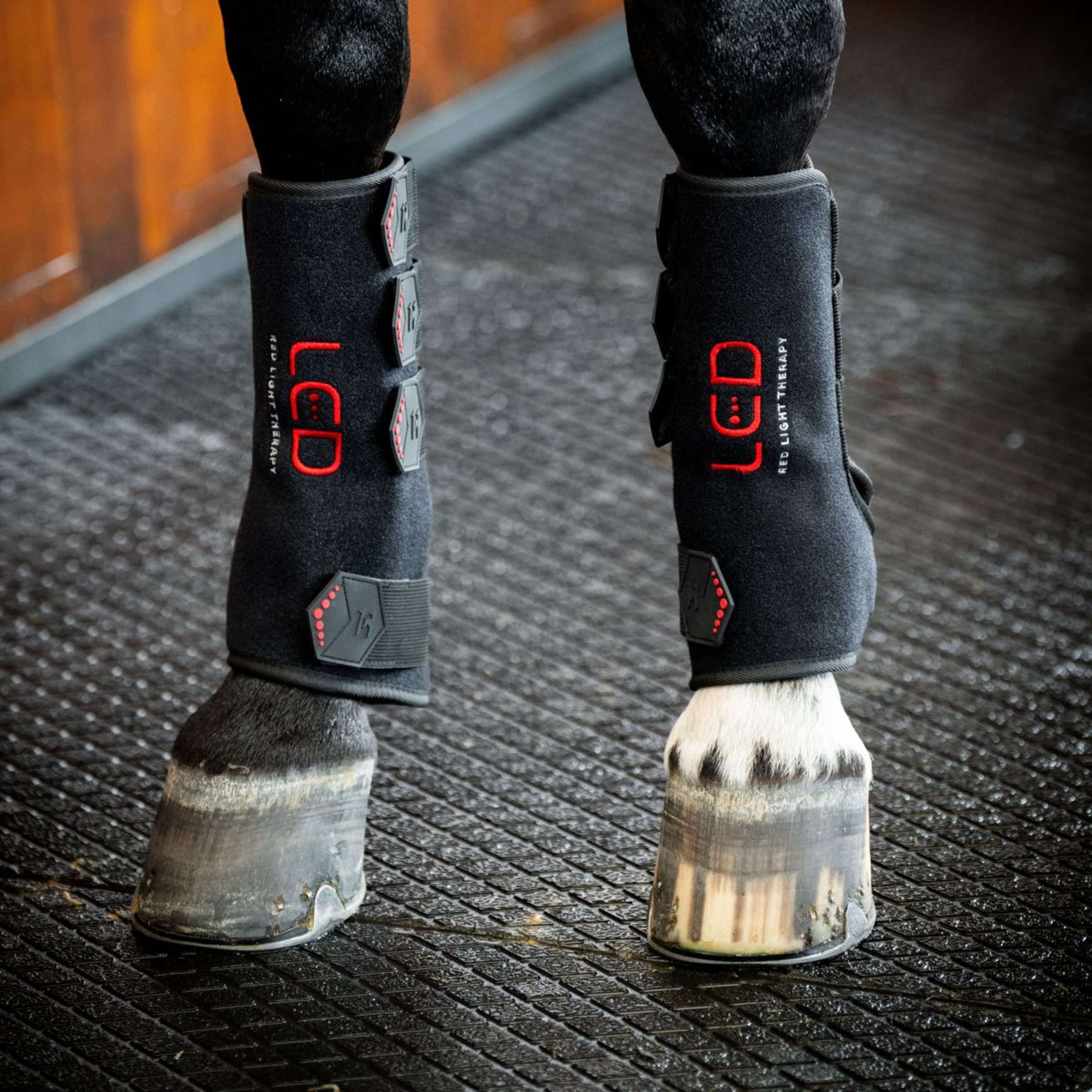 Horseware Leg Wraps LED Red Light Therapy Pair Black/Black