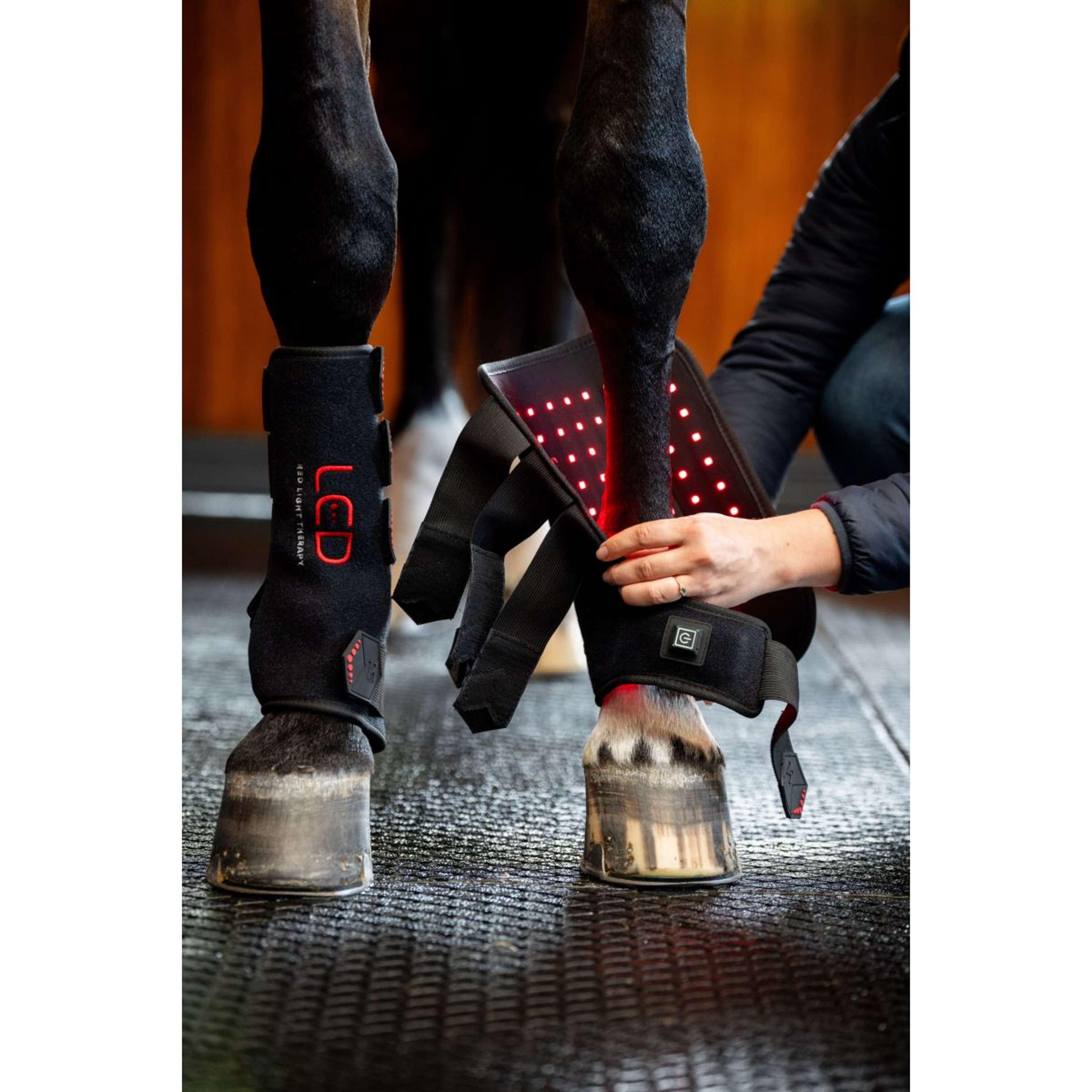 Horseware Leg Wraps LED Red Light Therapy Pair Black/Black