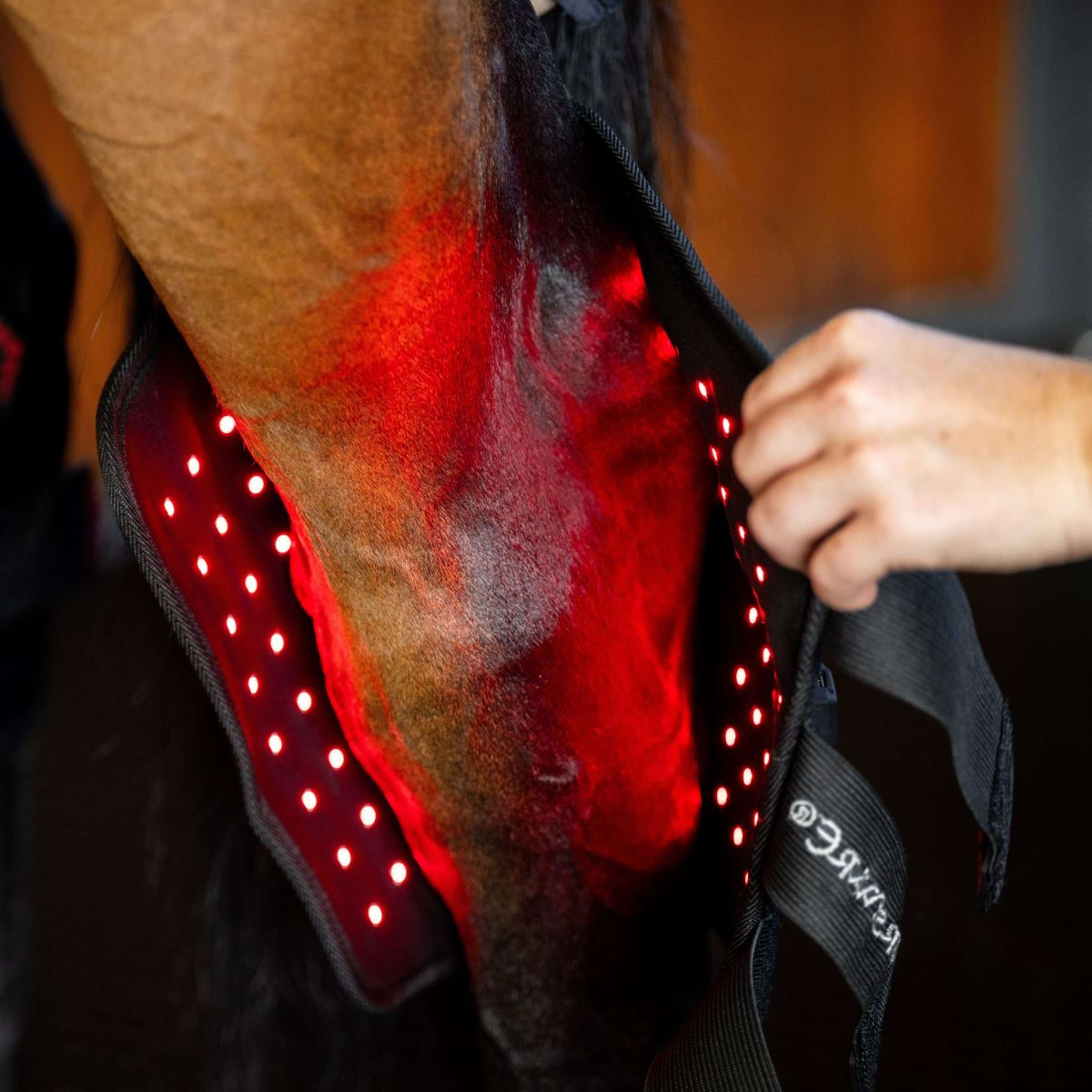 Horseware Hock Boots LED Red Light Therapy Pair Black/Black