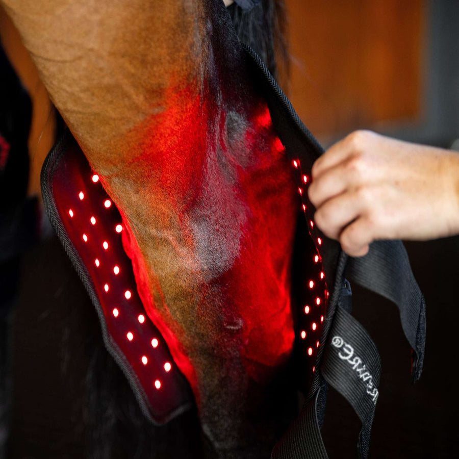 Horseware Hock Boots LED Red Light Therapy Pair Black/Black
