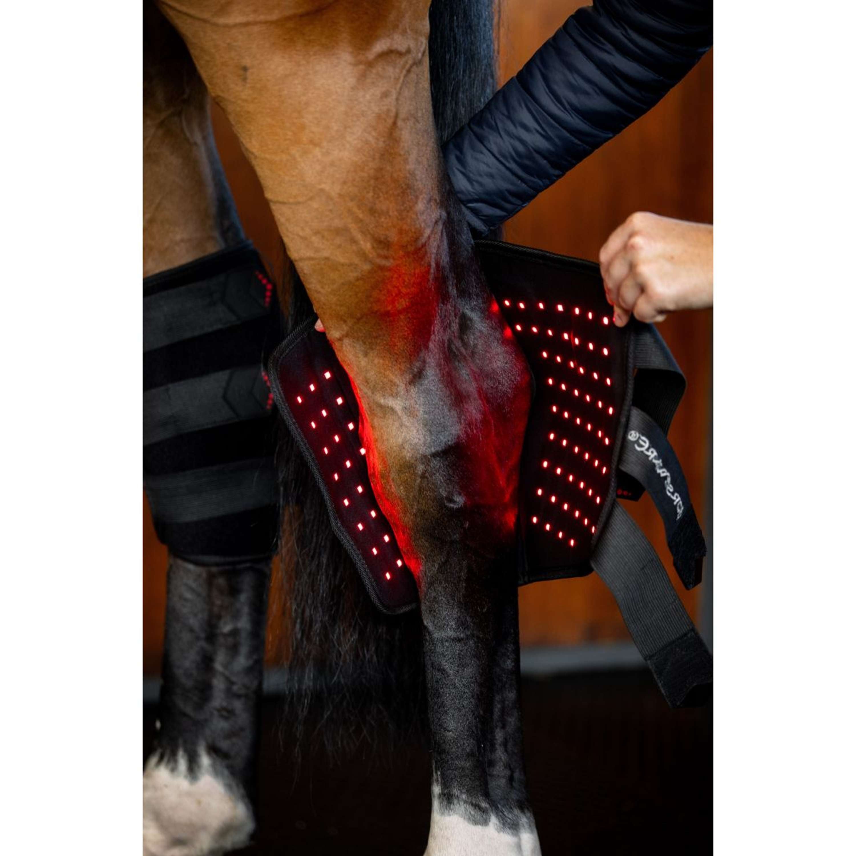 Horseware Hock Boots LED Red Light Therapy Pair Black/Black