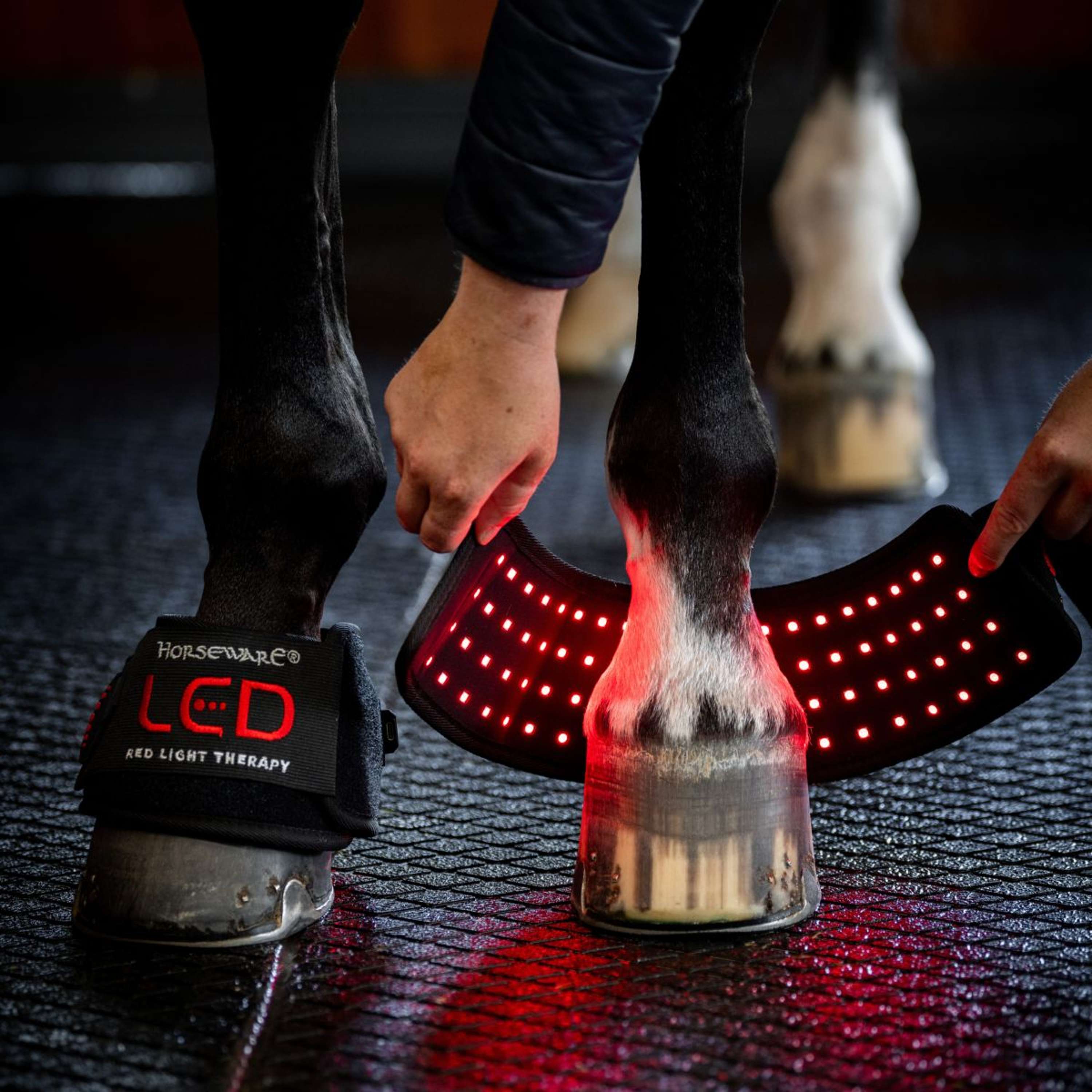 Horseware Mini Wraps LED Red Light Therapy Quad Black/Black