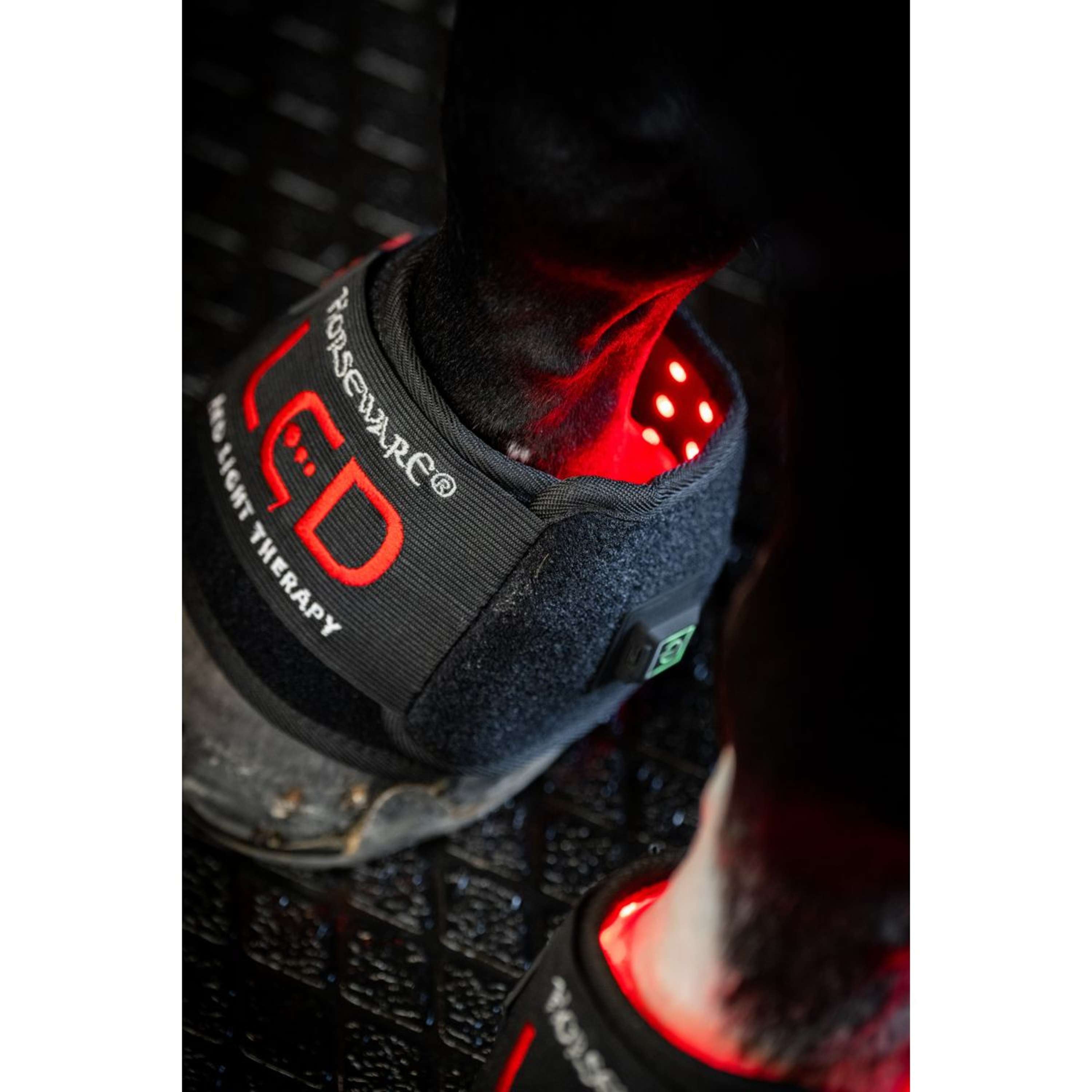 Horseware Mini Wraps LED Red Light Therapy Quad Black/Black