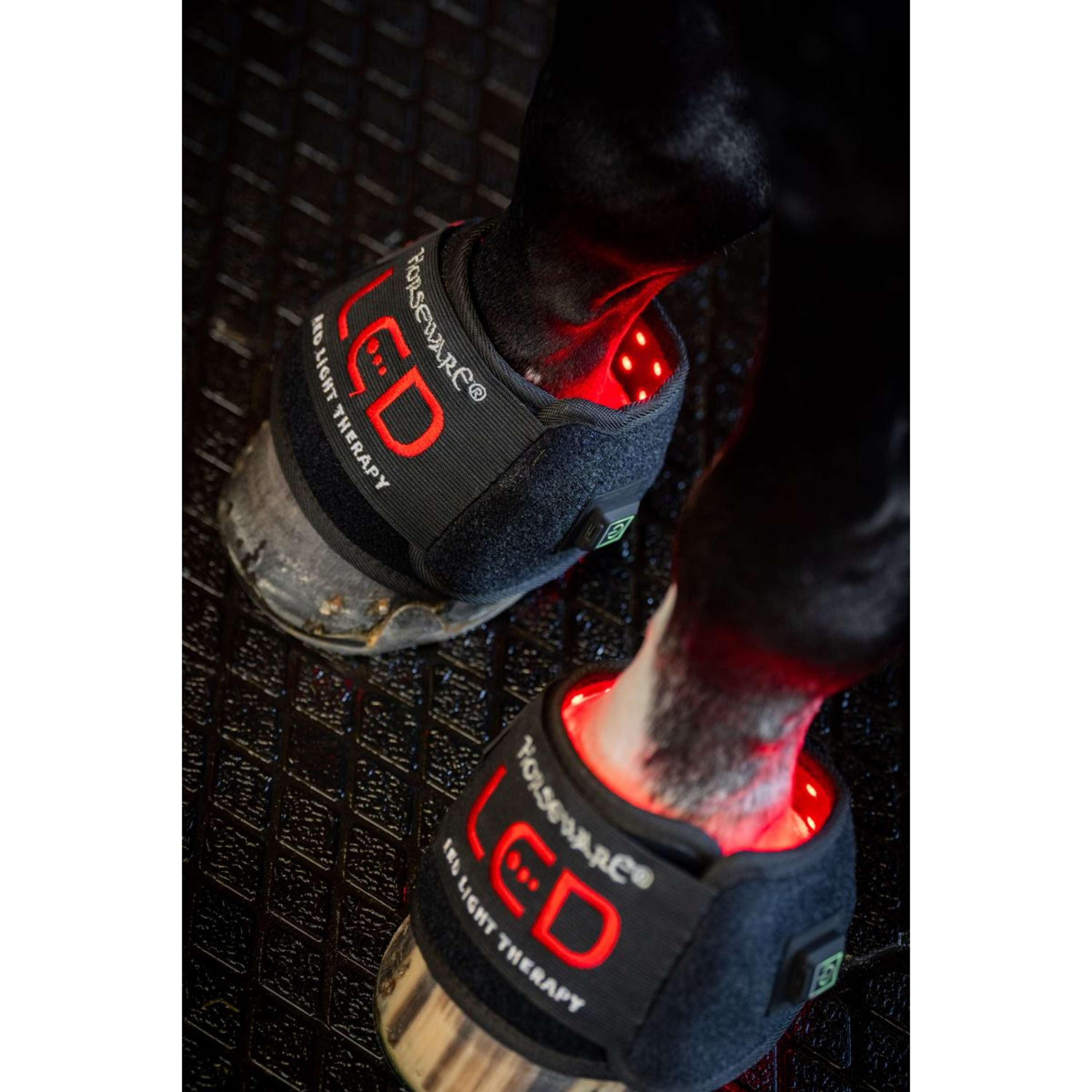 Horseware Mini Wraps LED Red Light Therapy Quad Black/Black