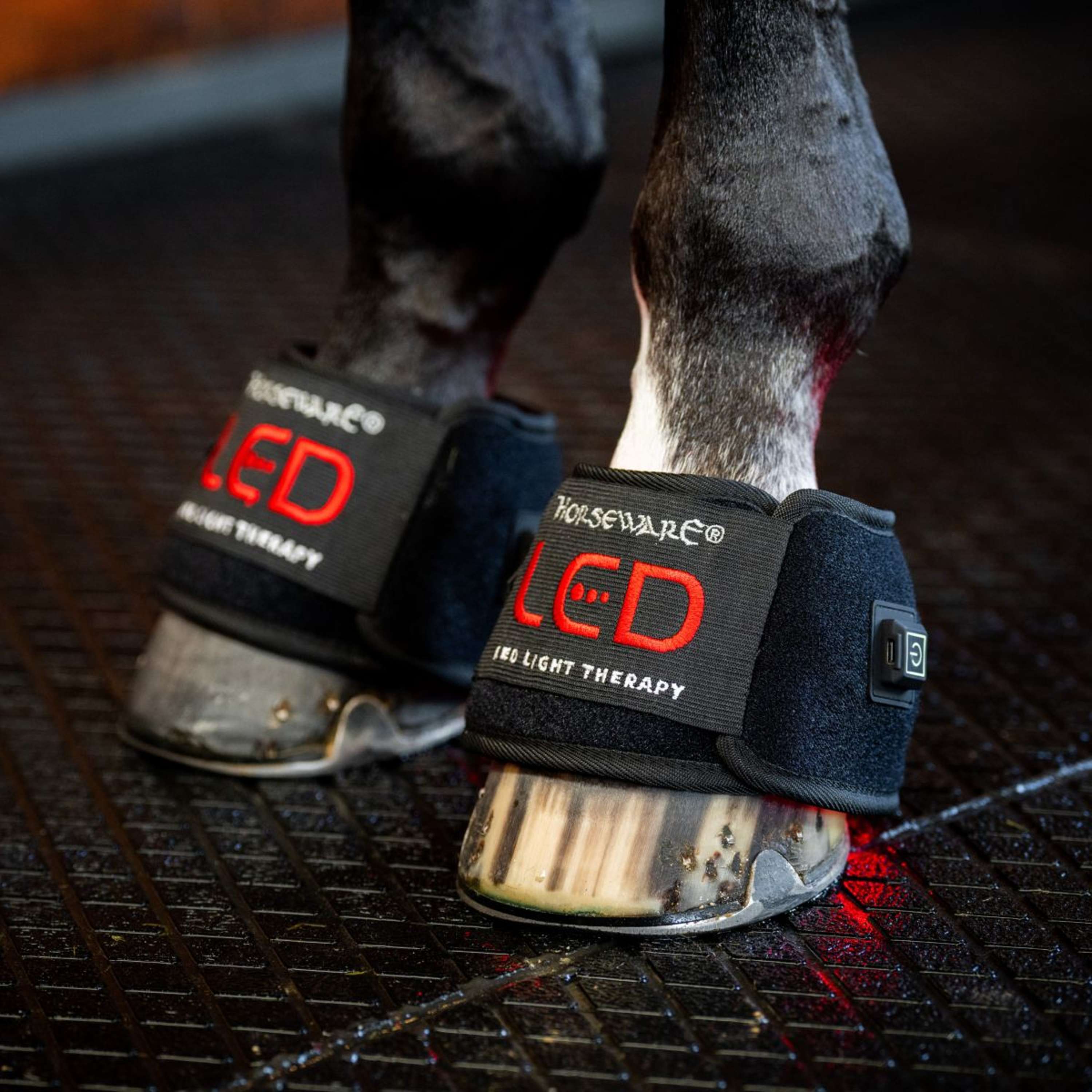 Horseware Mini Wraps LED Red Light Therapy Quad Black/Black