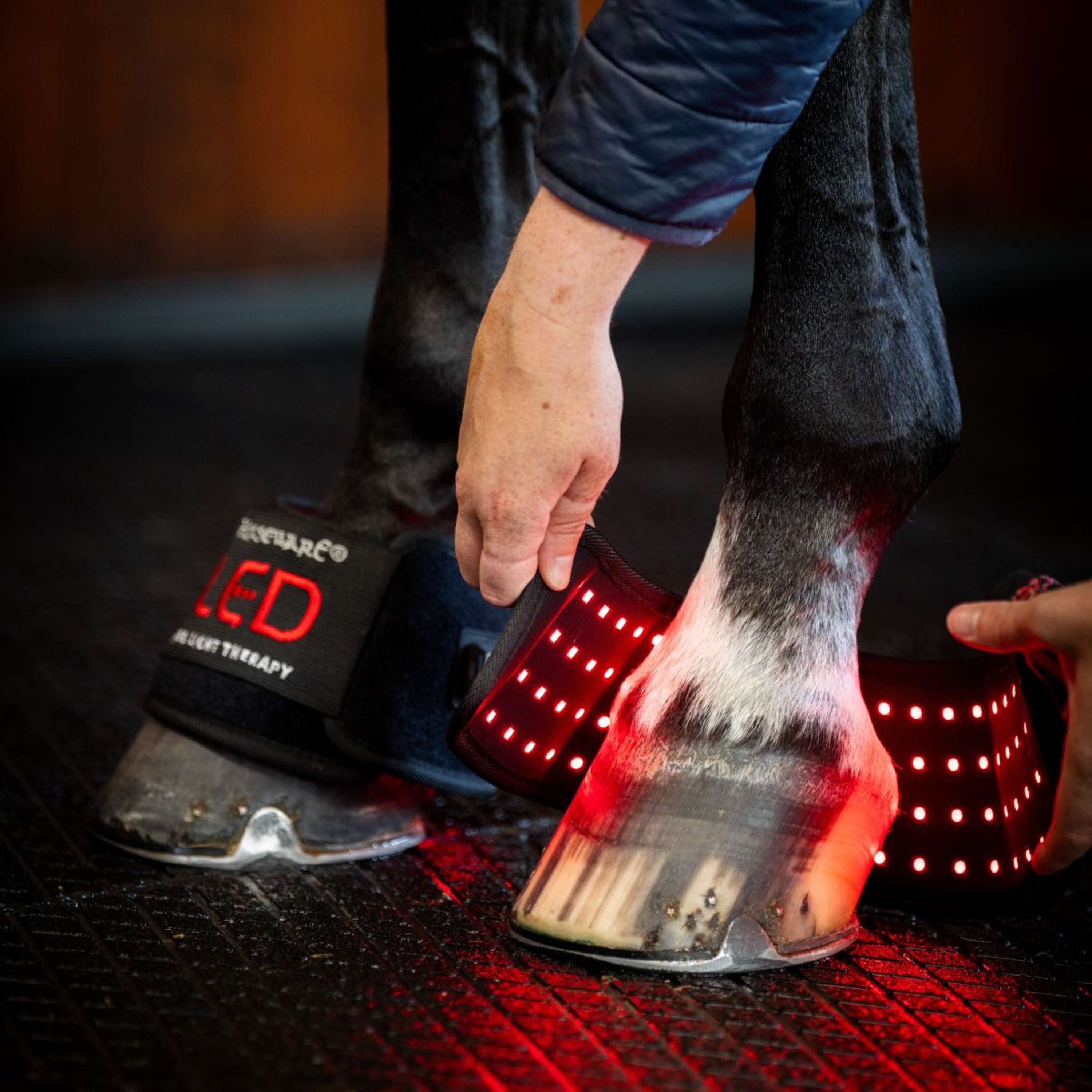 Horseware Mini Wraps LED Red Light Therapy Quad Black/Black