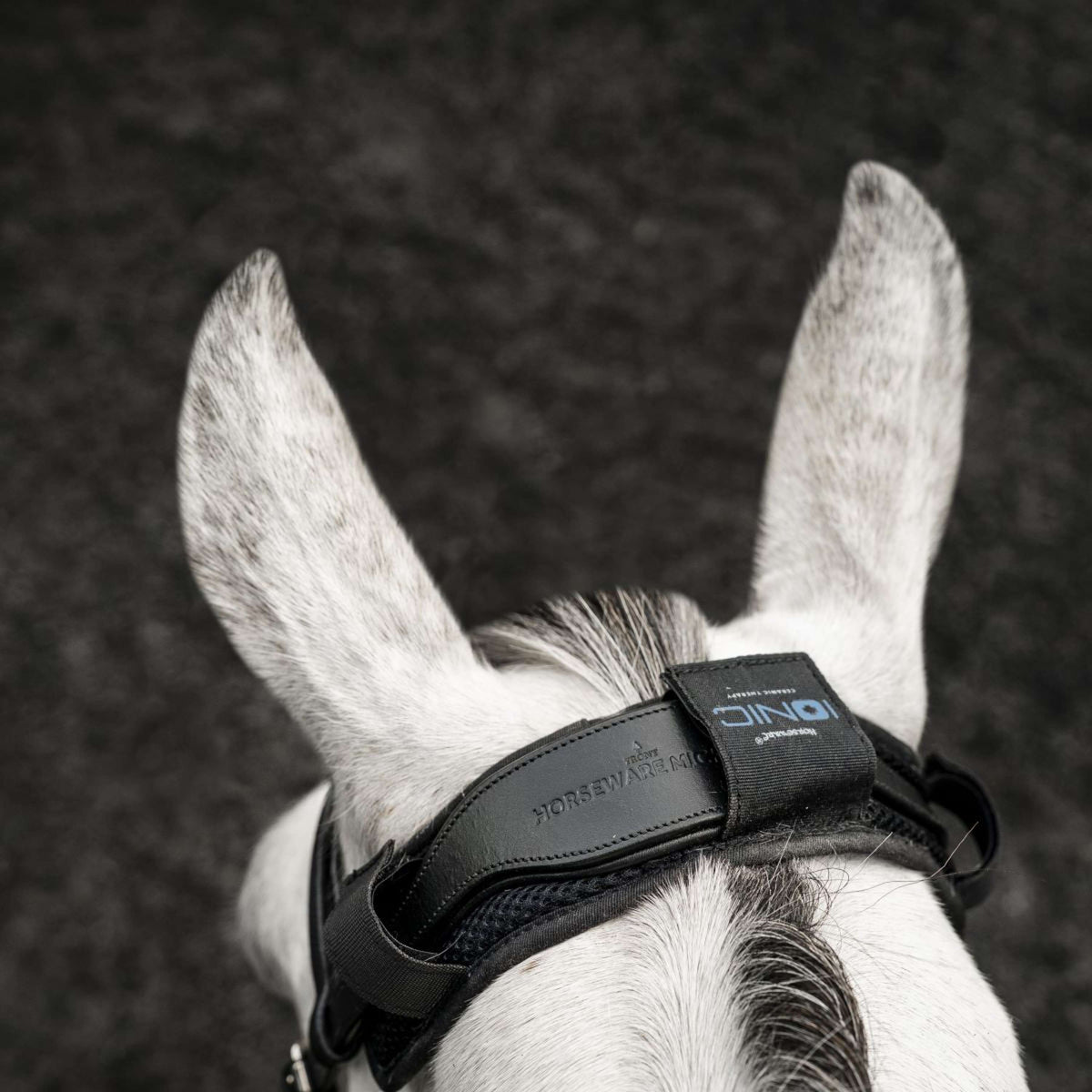 Horseware Bridle Protector Ionic Black