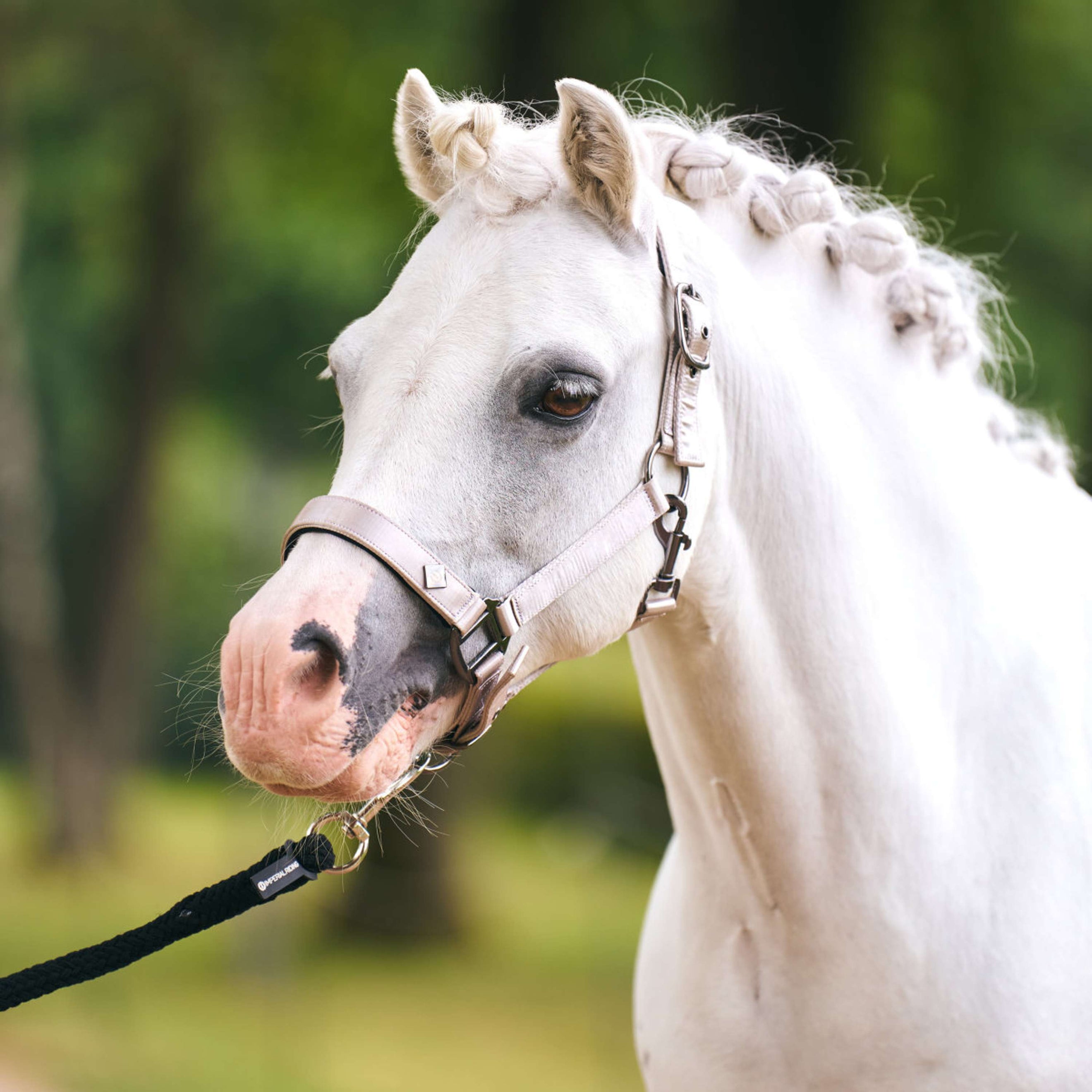 Imperial Riding Halter IRHRebel Grey Imperial Riding Halter IRHRebel Grey