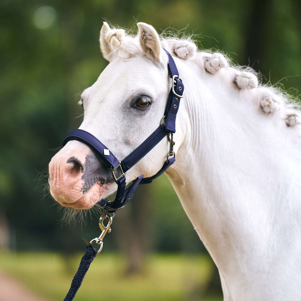Imperial Riding Halter IRHRebel Navy