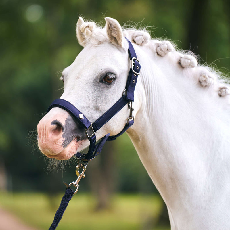 Imperial Riding Halter IRHRebel Navy