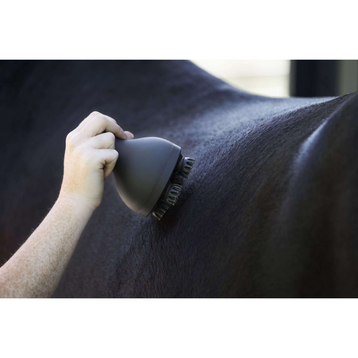 Imperial Riding Grooming & Relexation IRHVolta Massage Brush Black