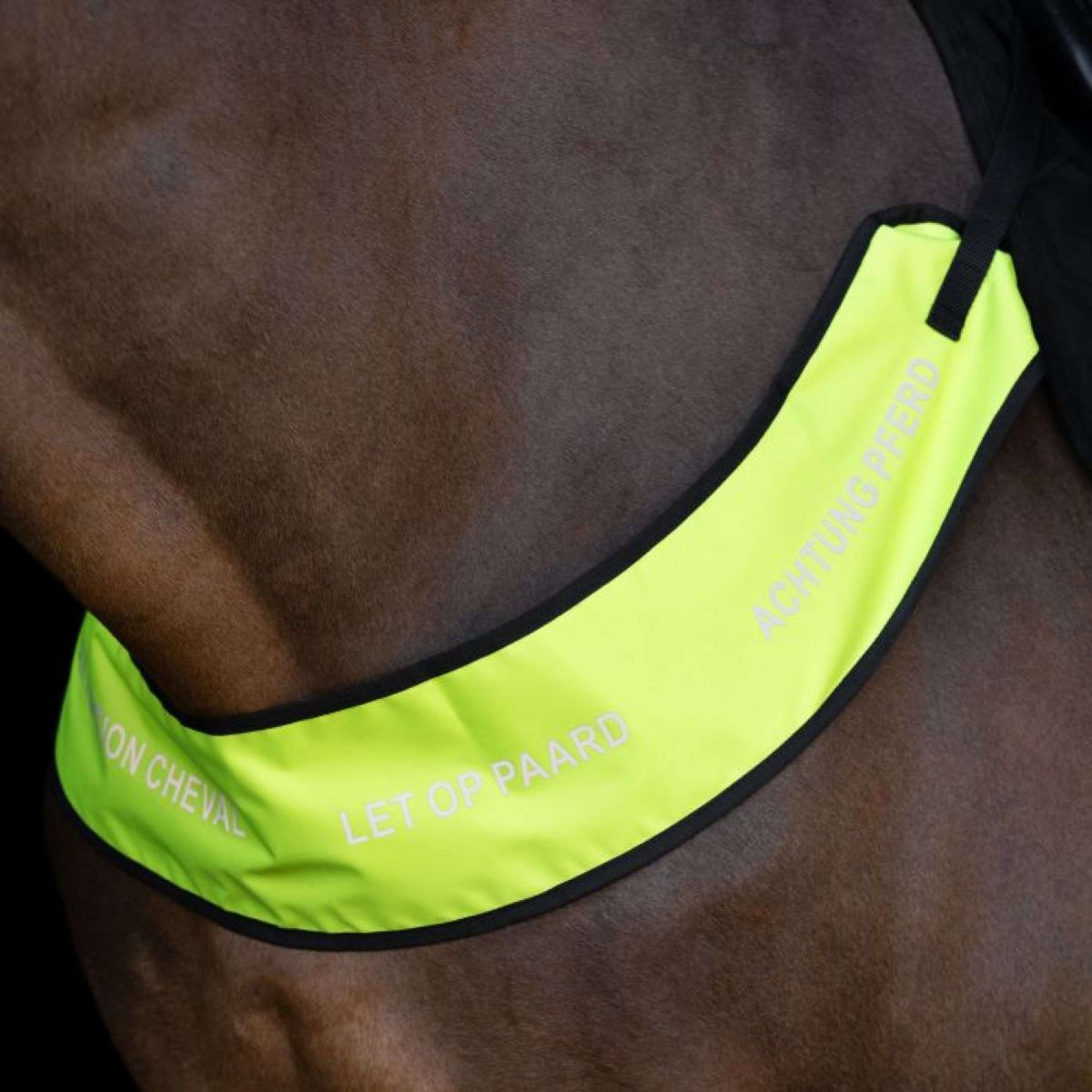 Imperial Riding Chest Buckle IRHReflective Yellow