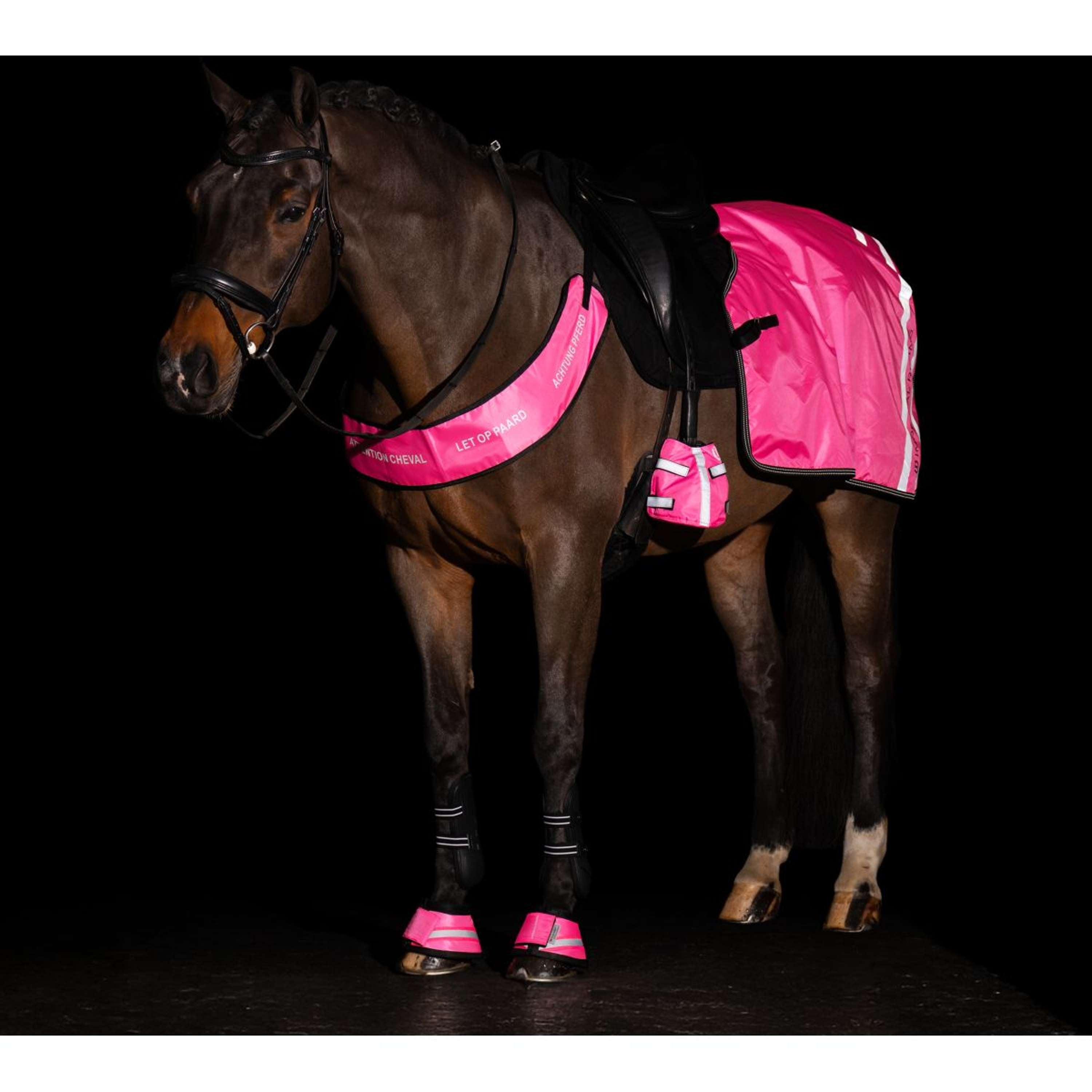 Imperial Riding Bell Boots IRHReflective Pink