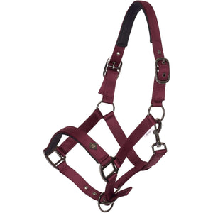 Imperial Riding Halter IRHRebel Fig