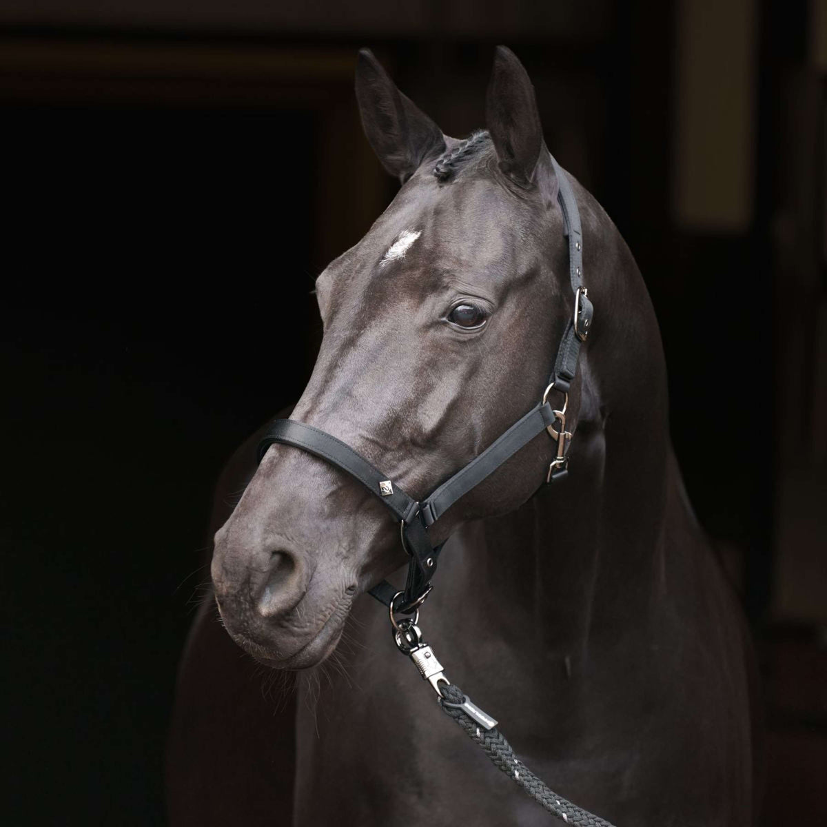 Imperial Riding Halter IRHRebel Black