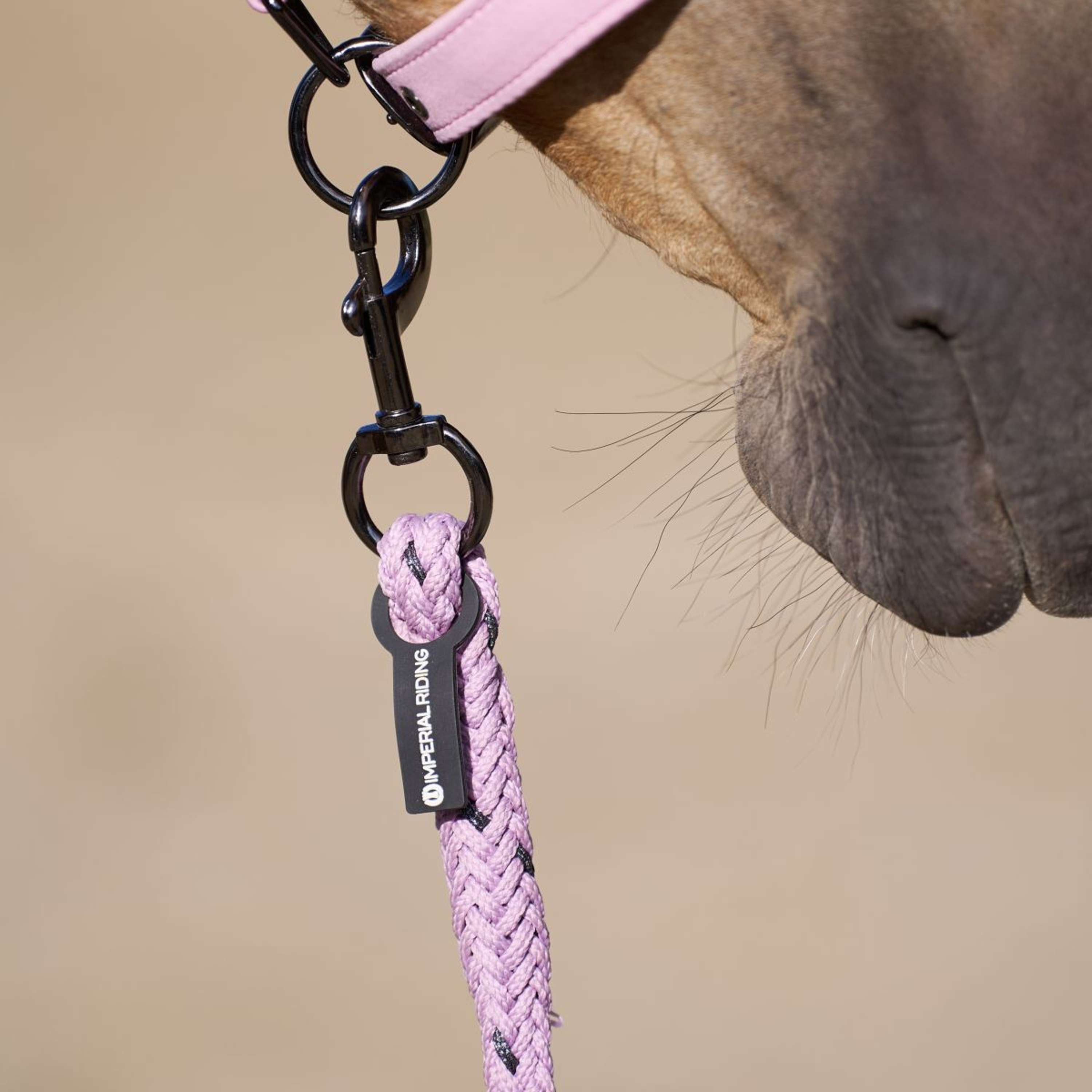 Imperial Riding Lead Rope IRHDeluxe with Carabiner Ballerina