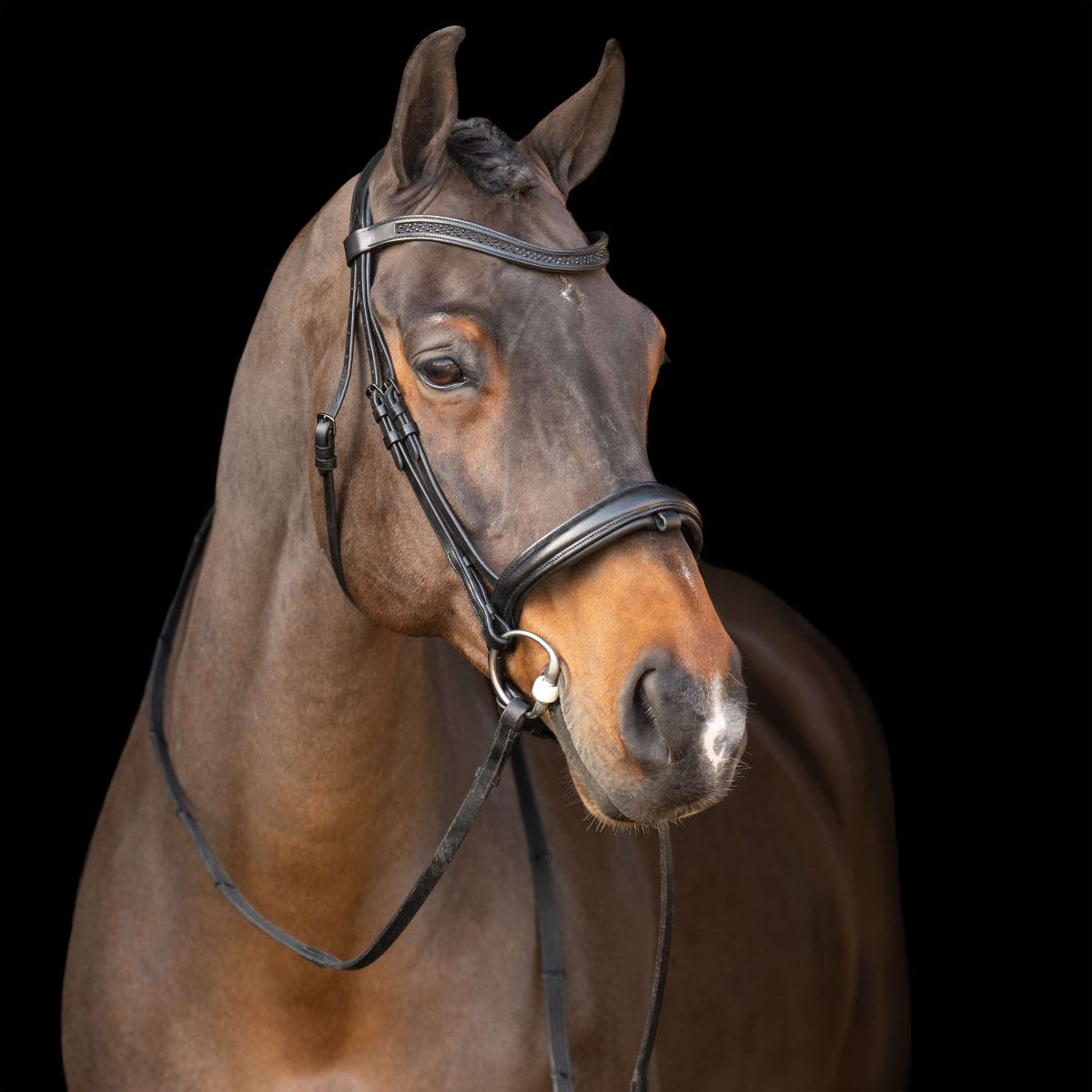 Imperial Riding Bridle IRH Black/Black