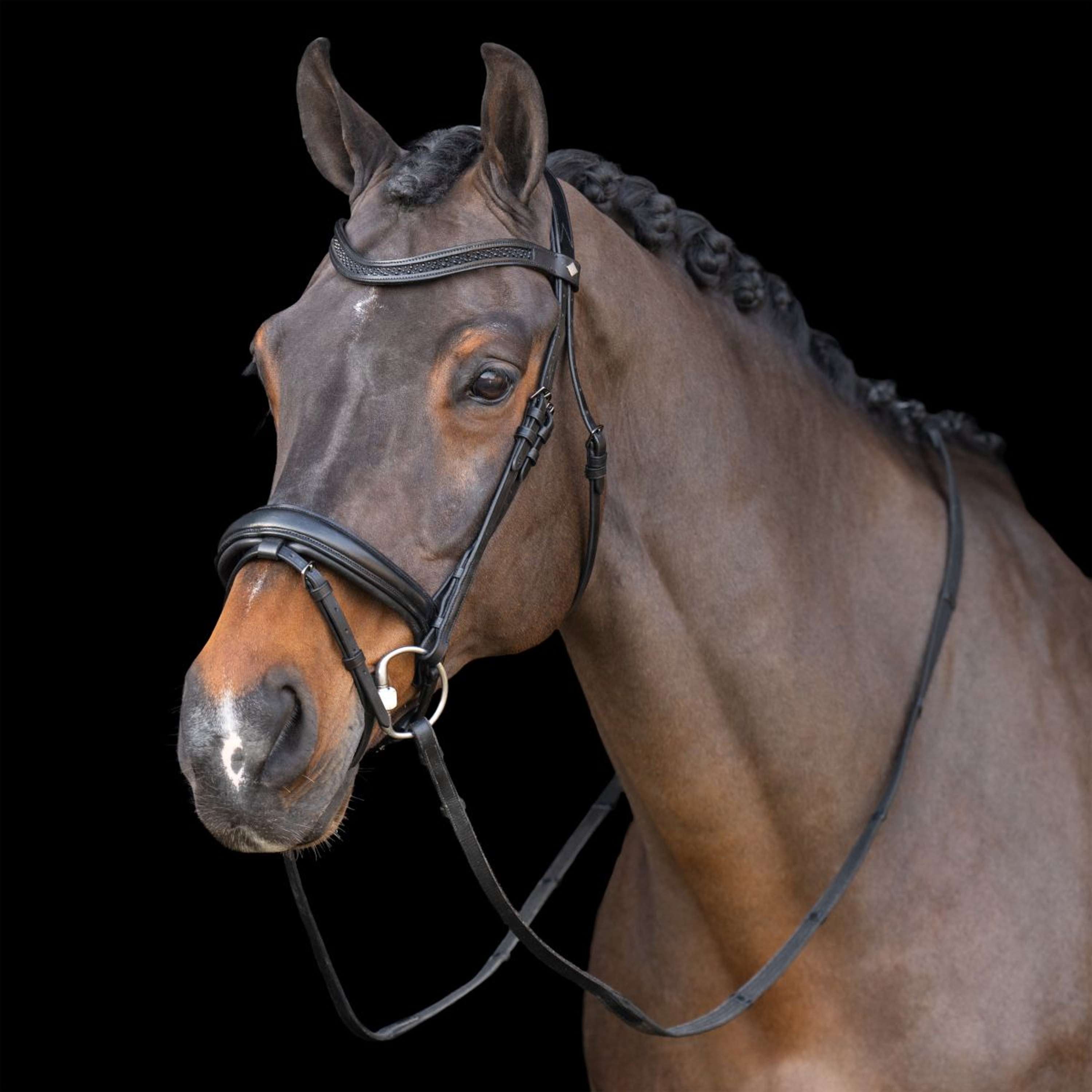 Imperial Riding Bridle IRH Black/Black