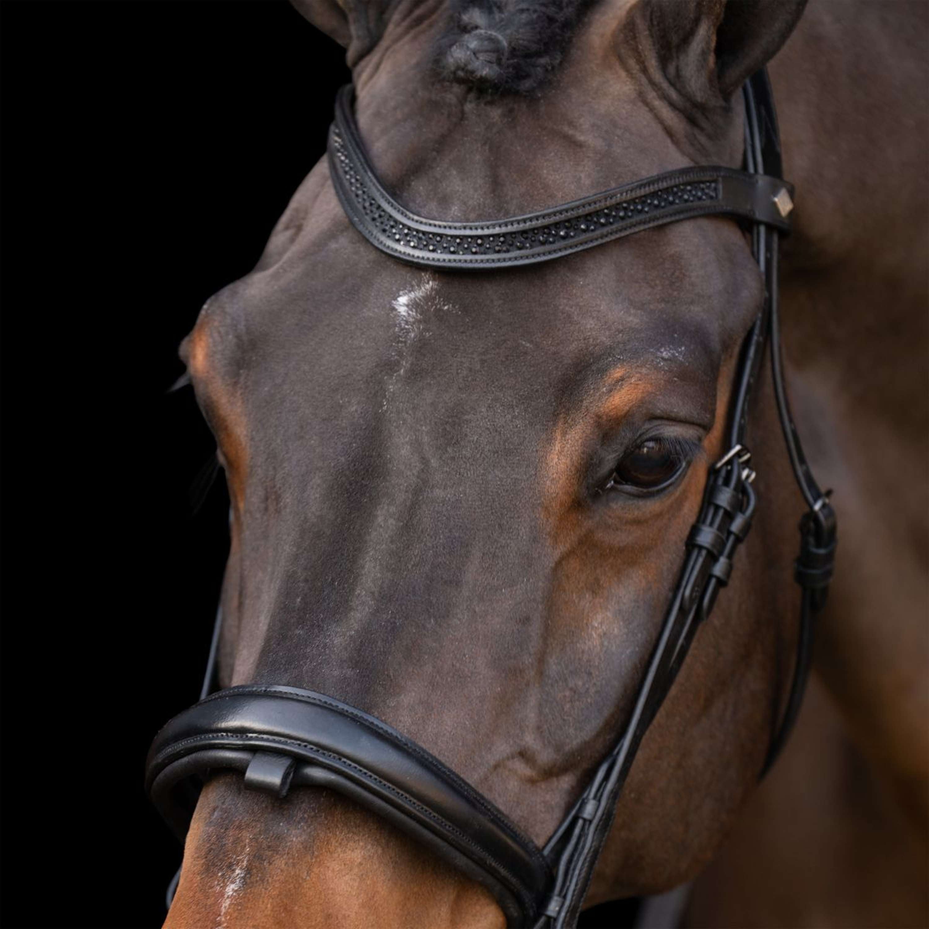 Imperial Riding Bridle IRH Black/Black