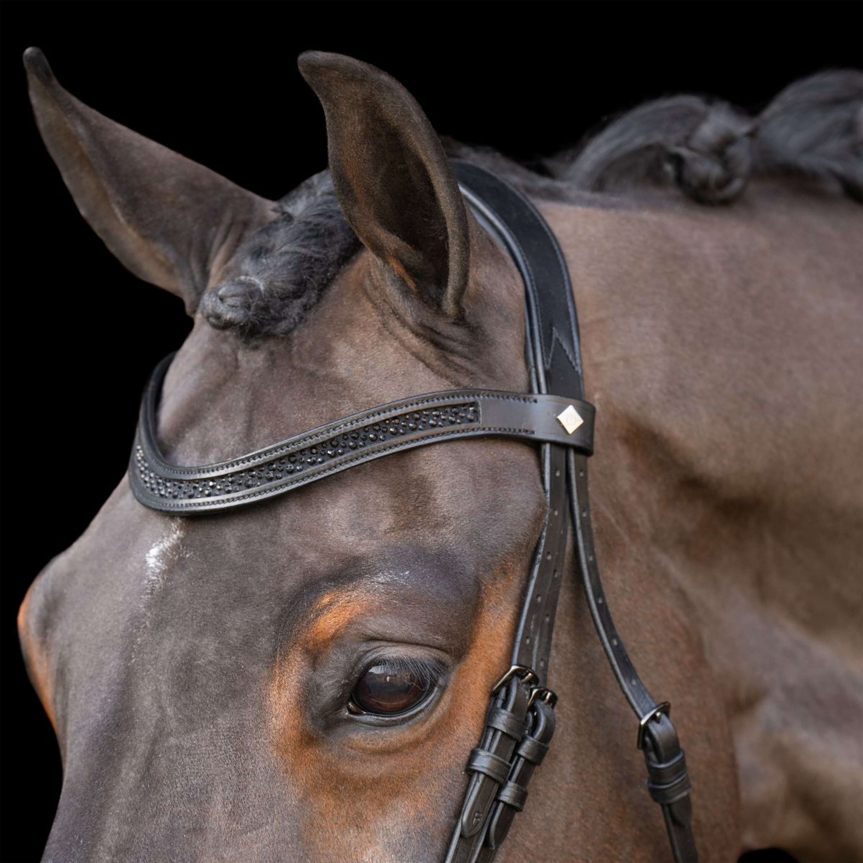 Imperial Riding Bridle IRH Black/Black
