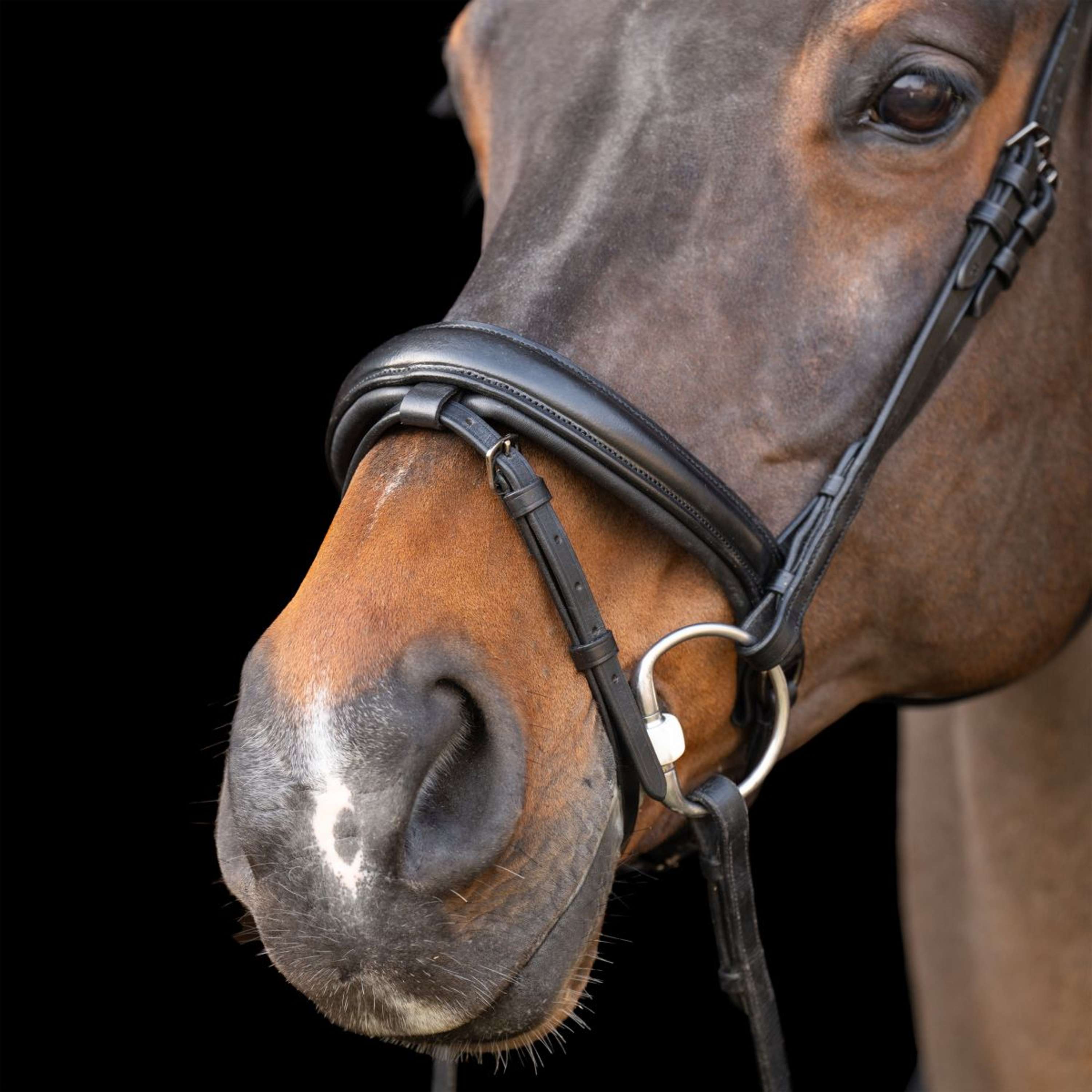 Imperial Riding Bridle IRH Black/Black