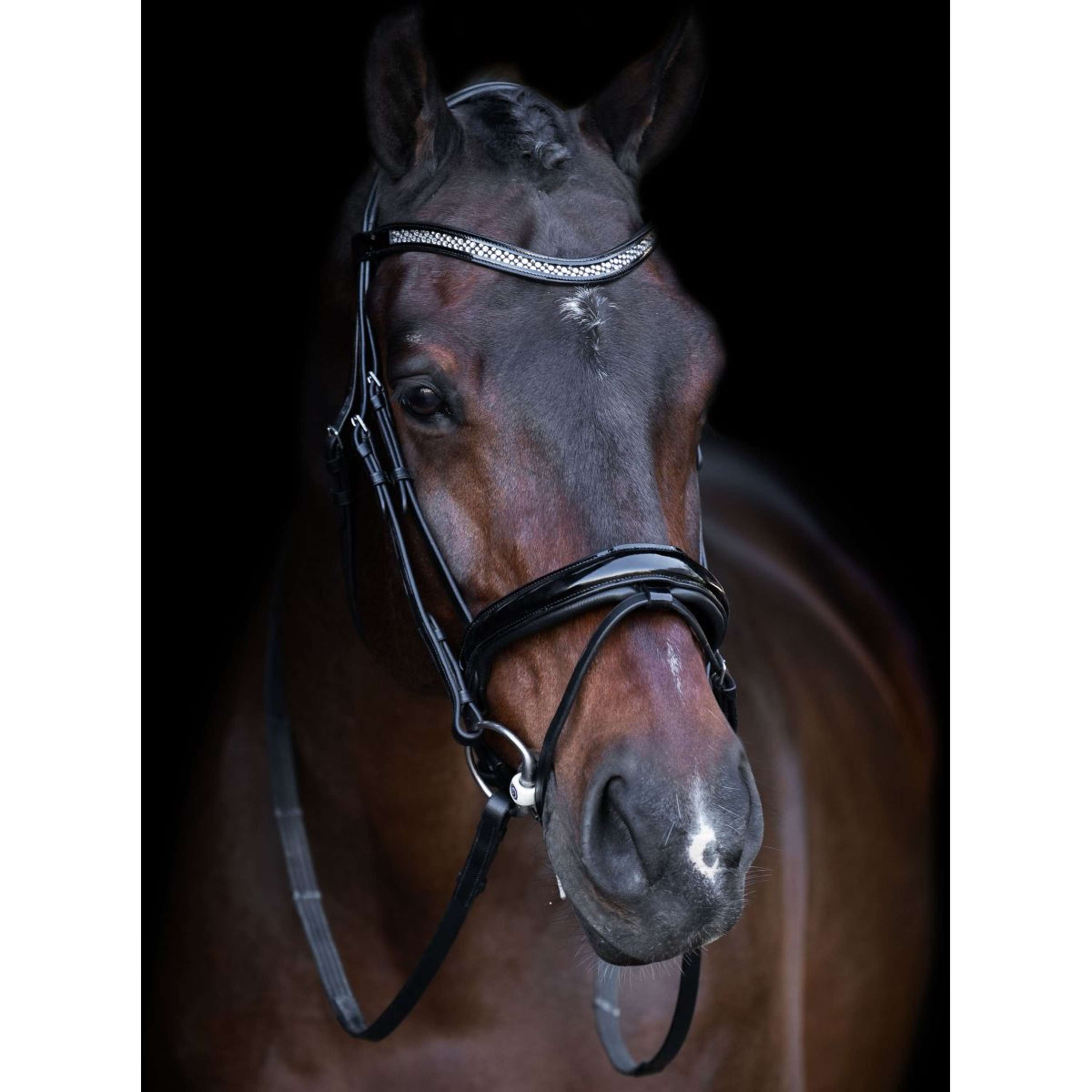Imperial Riding Bridle IRH Black/Crystal