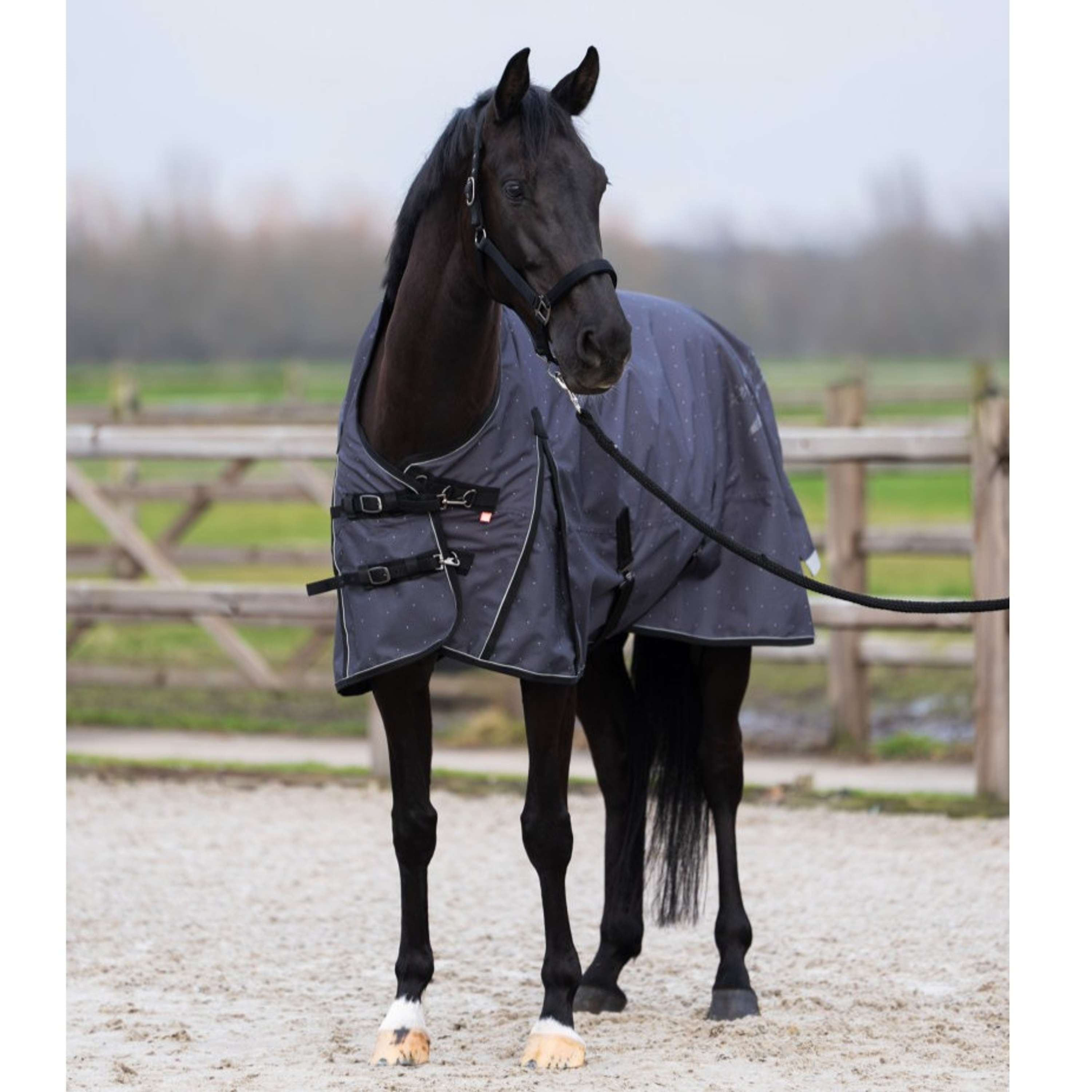 Imperial Riding Outdoor Rug IRHSuper-dry AOP 0g Grey