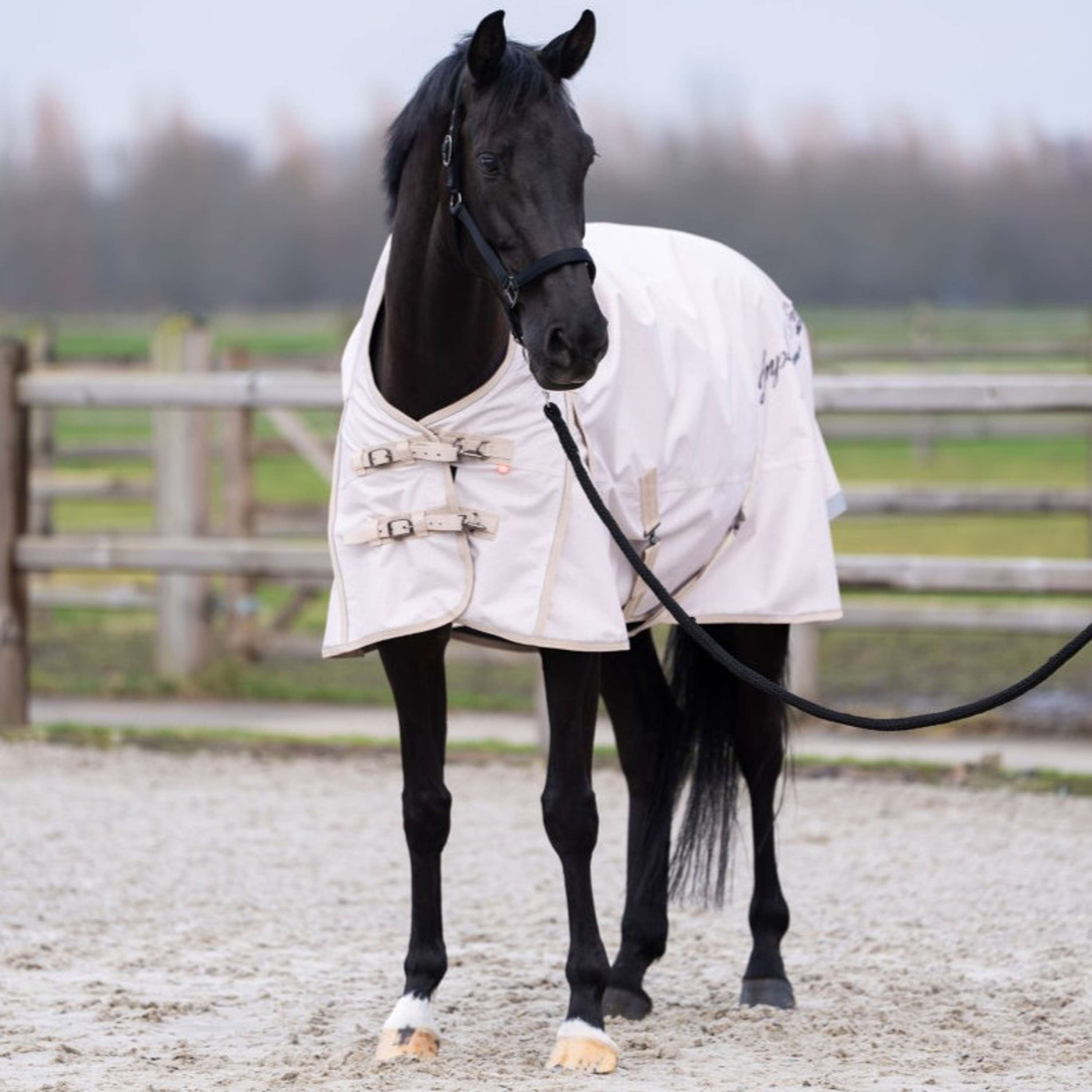 Imperial Riding Outdoor Rug IRHSuper-dry AOP 0g Taupe