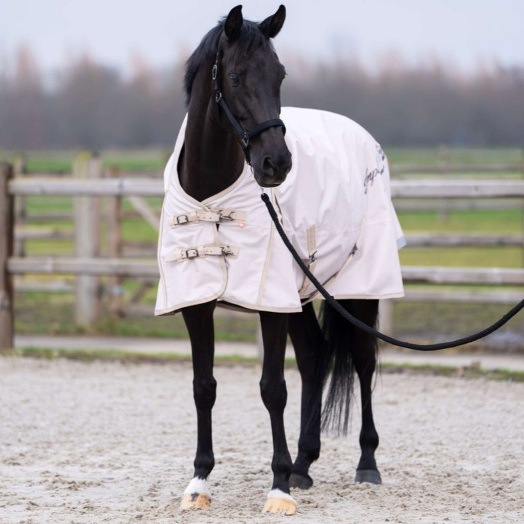 Imperial Riding Outdoor Rug IRHSuper-dry AOP 0g Taupe