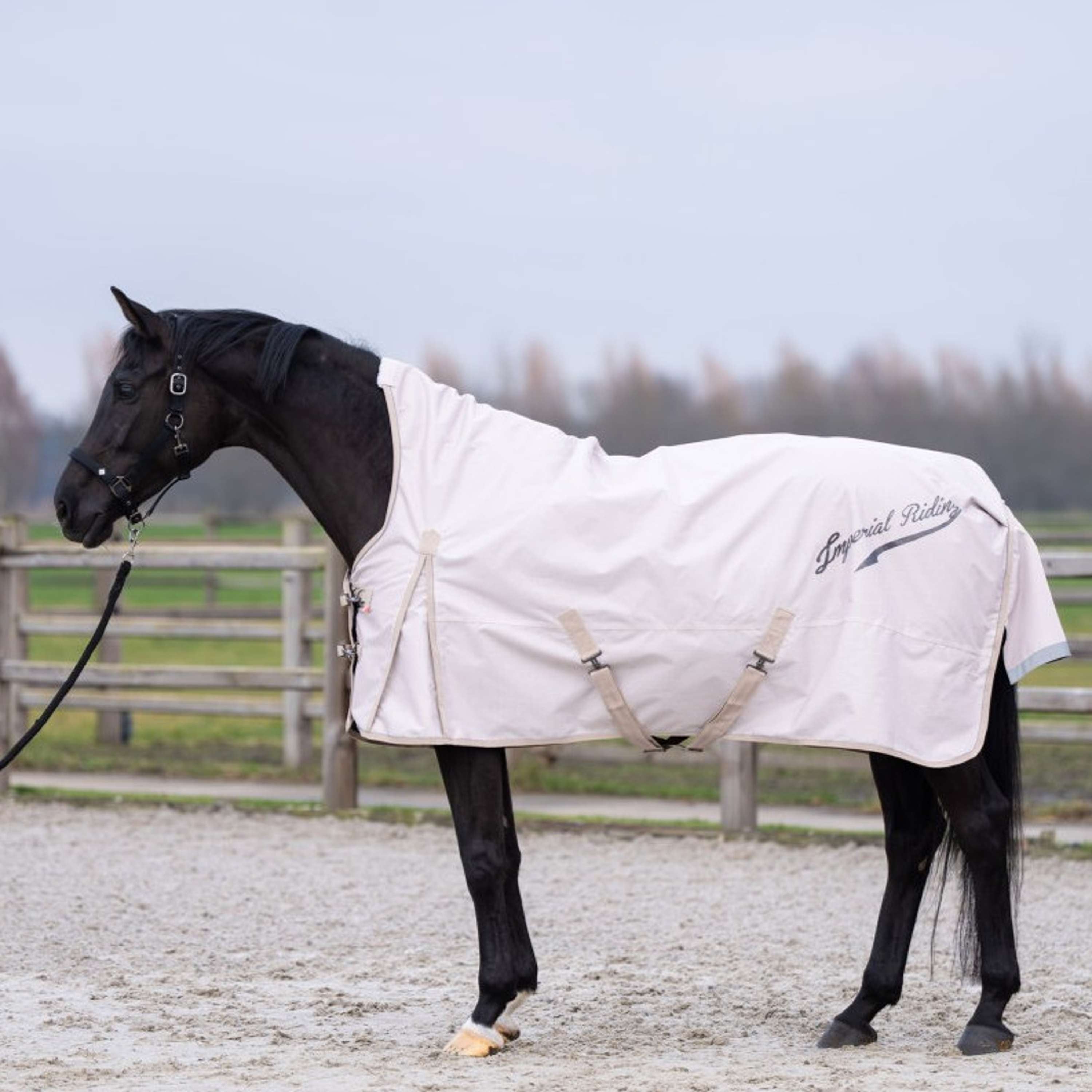 Imperial Riding Outdoor Rug IRHSuper-dry AOP 0g Taupe