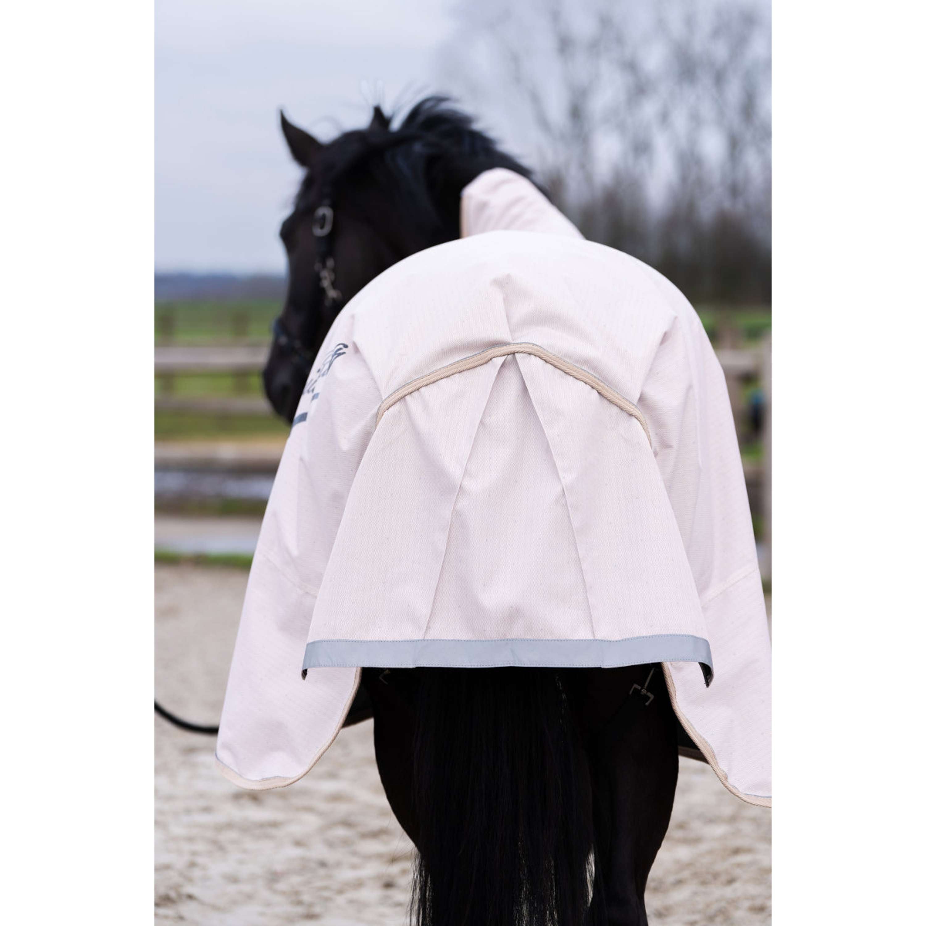 Imperial Riding Outdoor Rug IRHSuper-dry AOP 0g Taupe