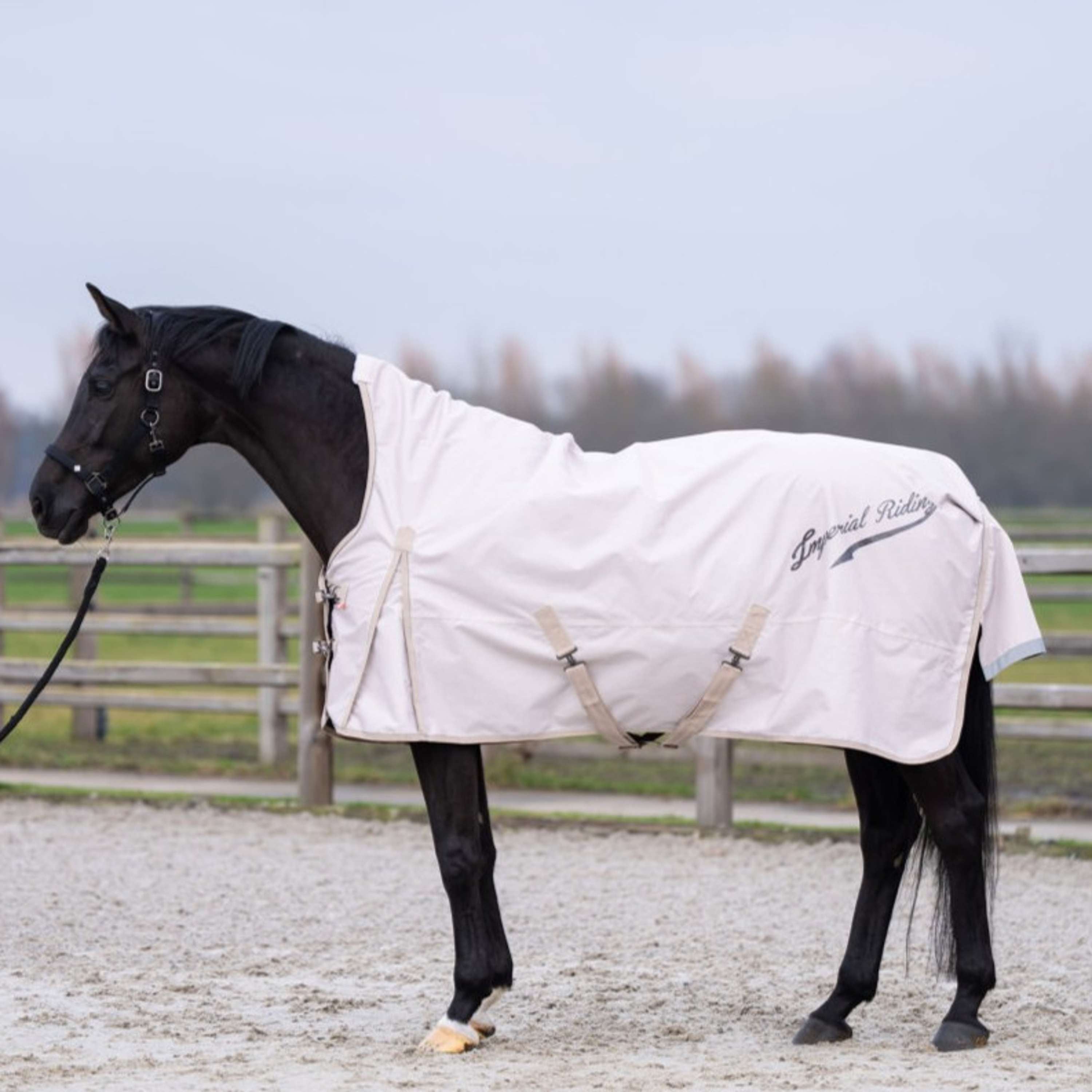 Imperial Riding Outdoor Rug IRHSuper-dry AOP 100g Taupe