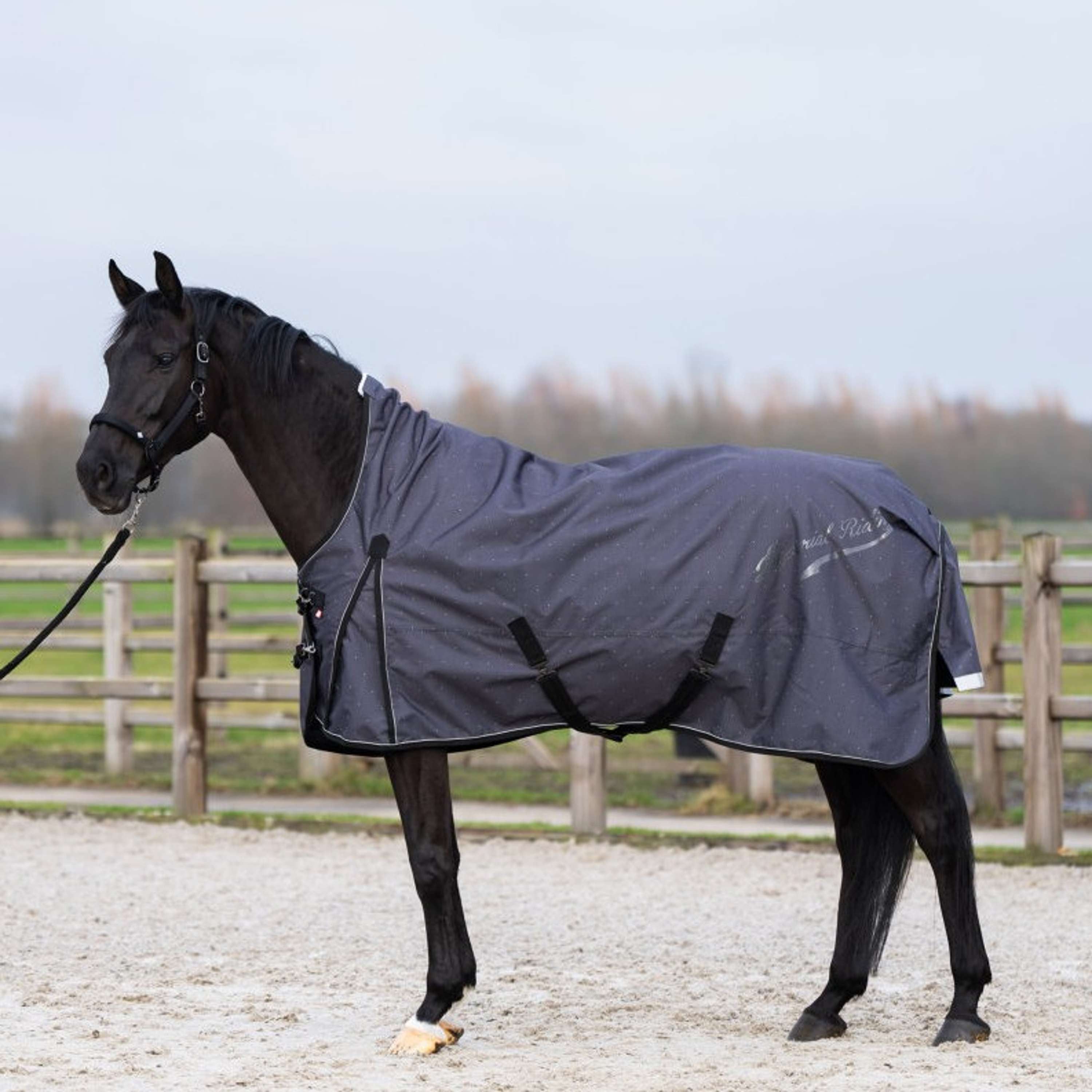Imperial Riding Outdoor Rug IRHSuper-dry AOP 200g Grey