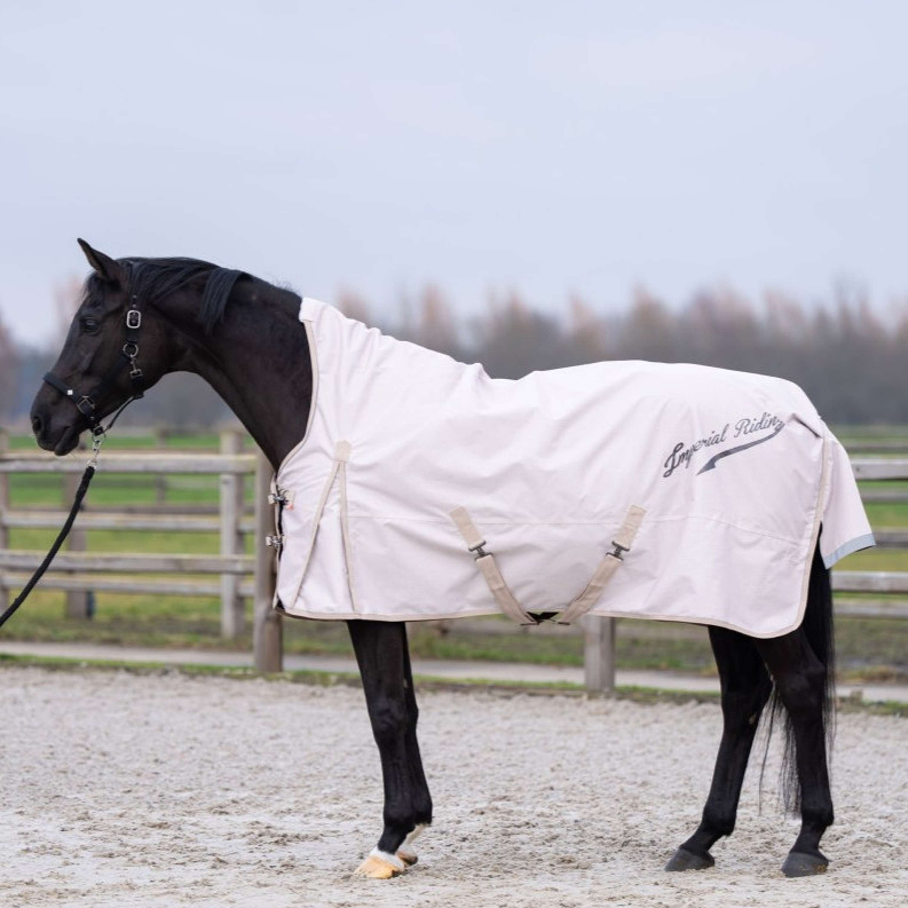 Imperial Riding Outdoor Rug IRHSuper-dry AOP 200g Taupe