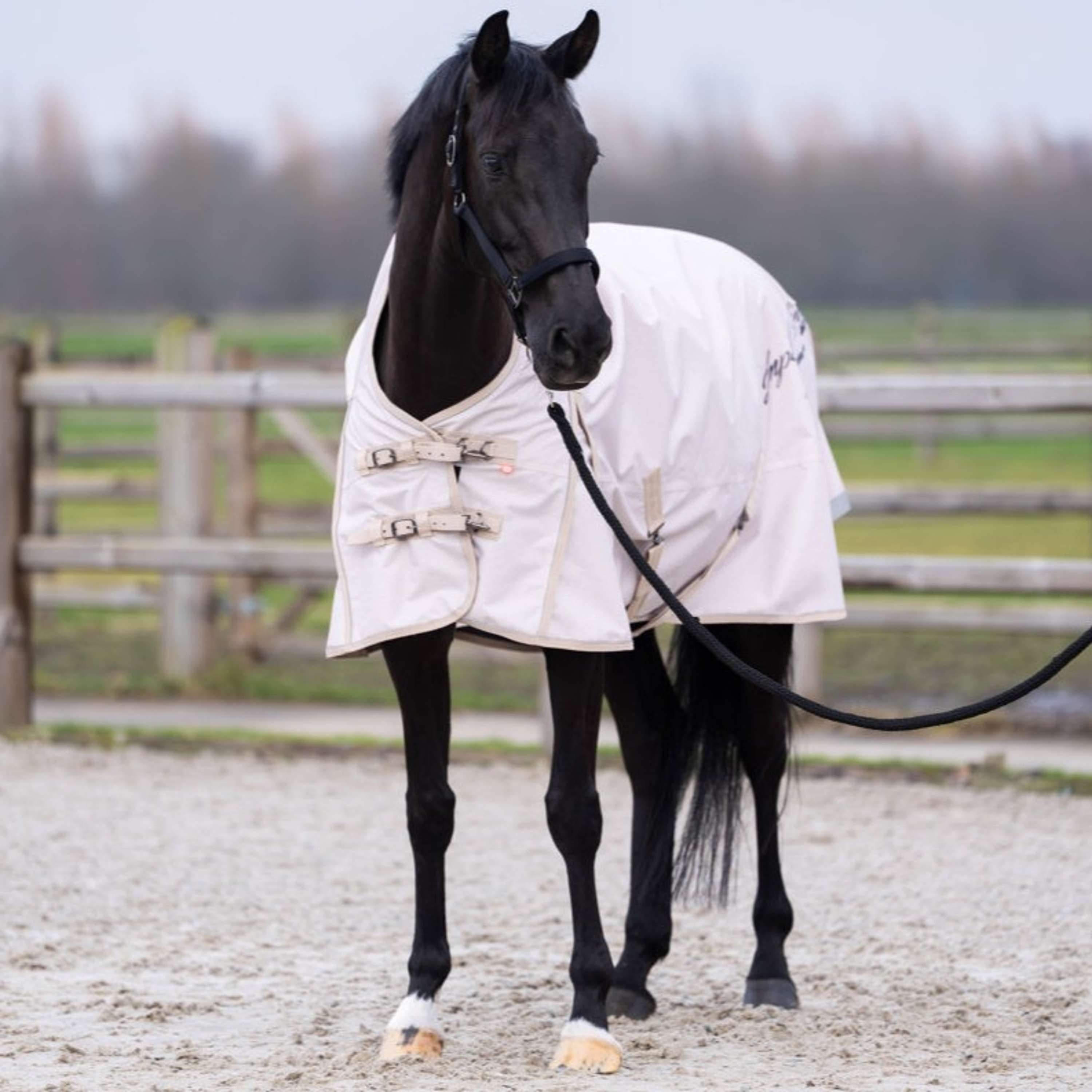 Imperial Riding Outdoor Rug IRHSuper-dry AOP 300g Taupe
