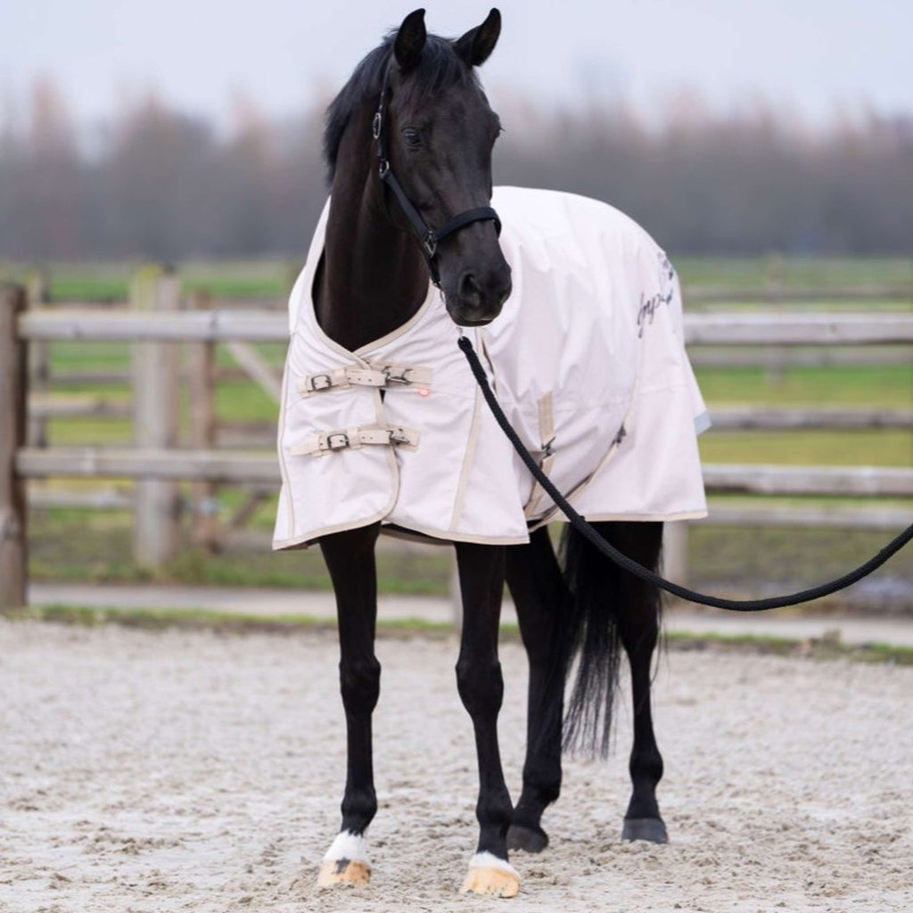 Imperial Riding Outdoor Rug IRHSuper-dry AOP 300g Taupe