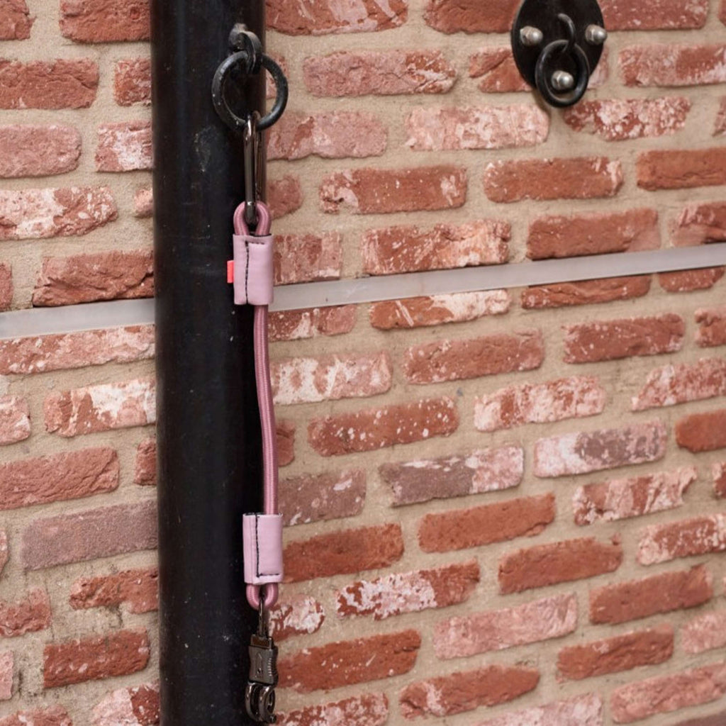 Imperial Riding Trailer Tie Elastisch Mauve